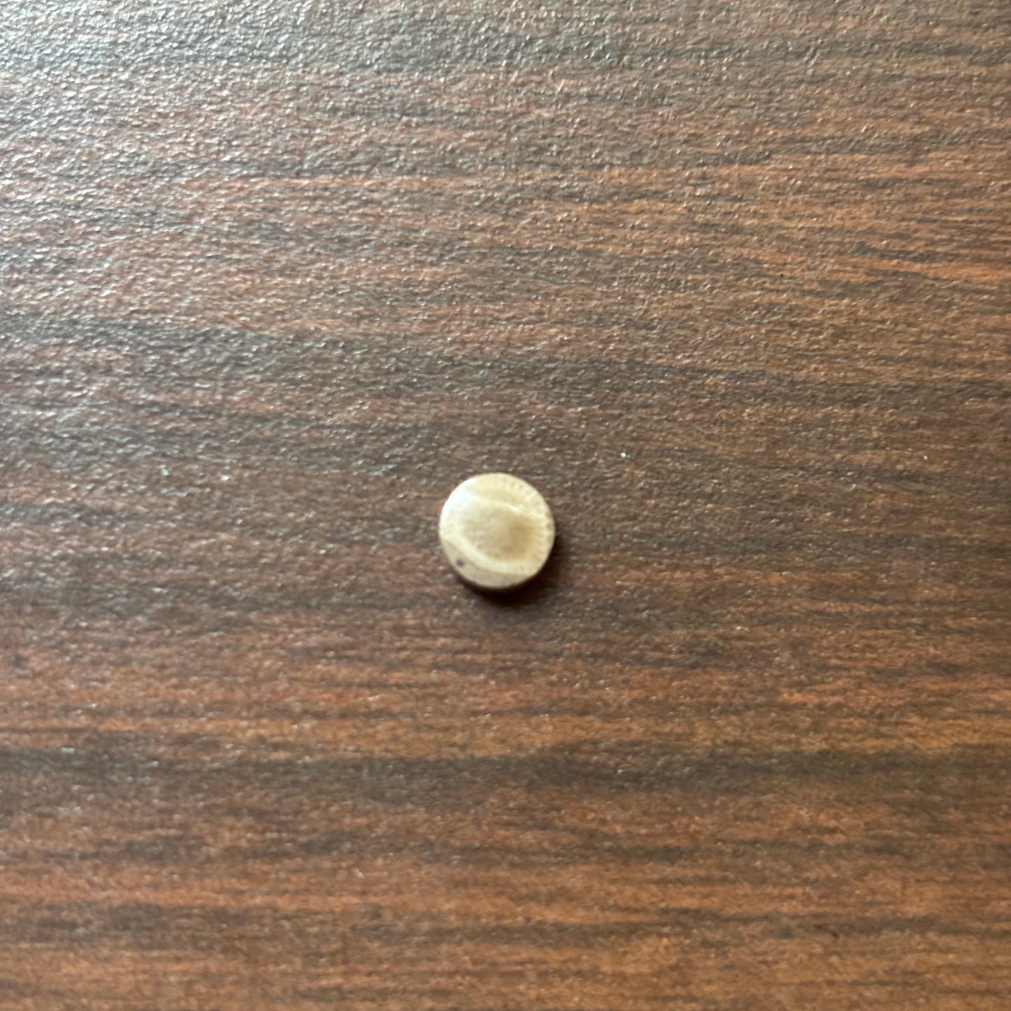 Petoskey Stone Cabochon 6mm Round