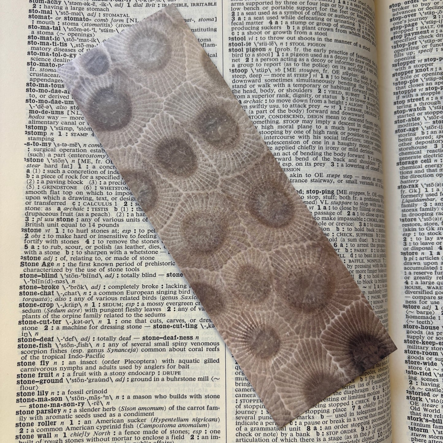 Petoskey Stone Bookmark