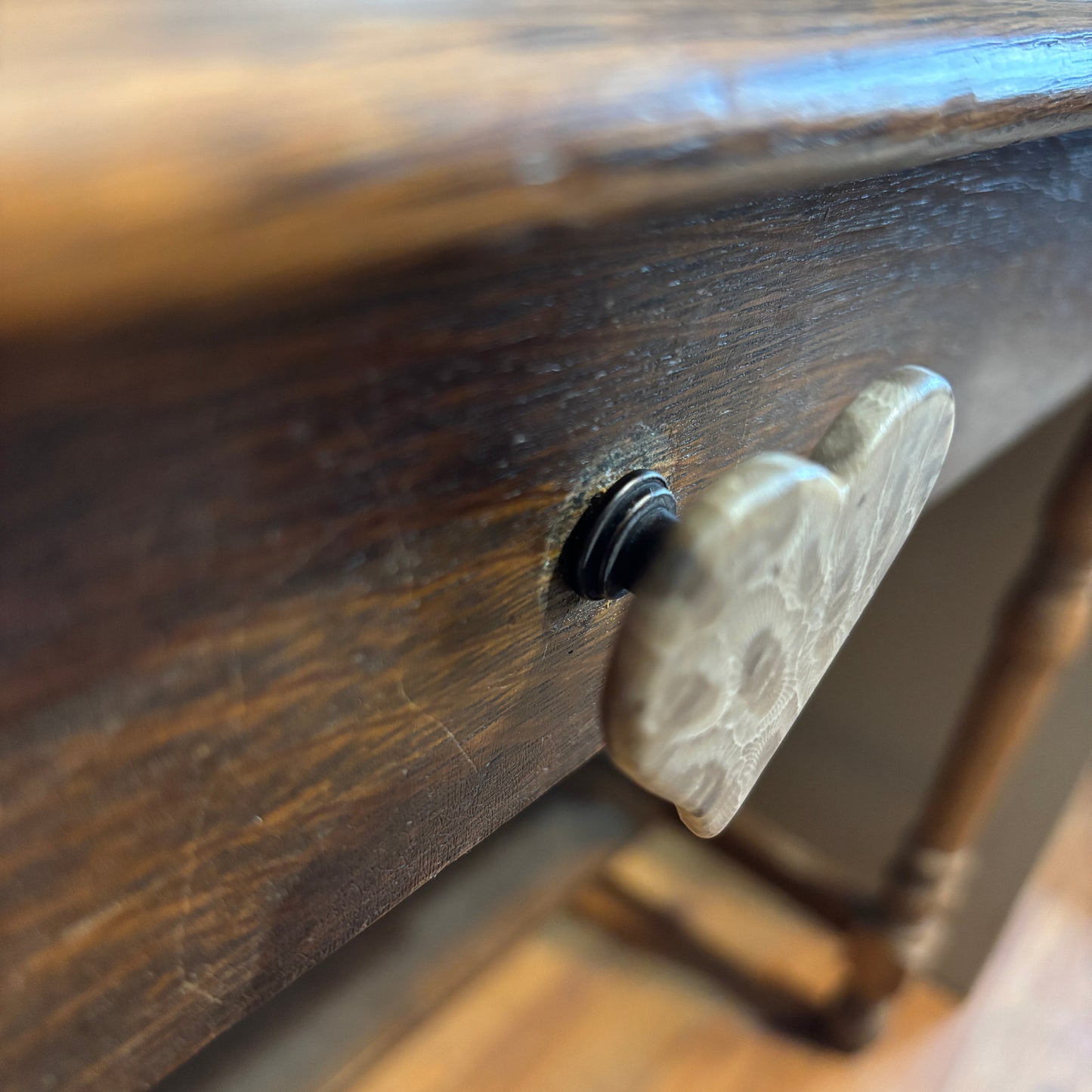 Petoskey Stone Cabinet Knob in Polished Heart Shape