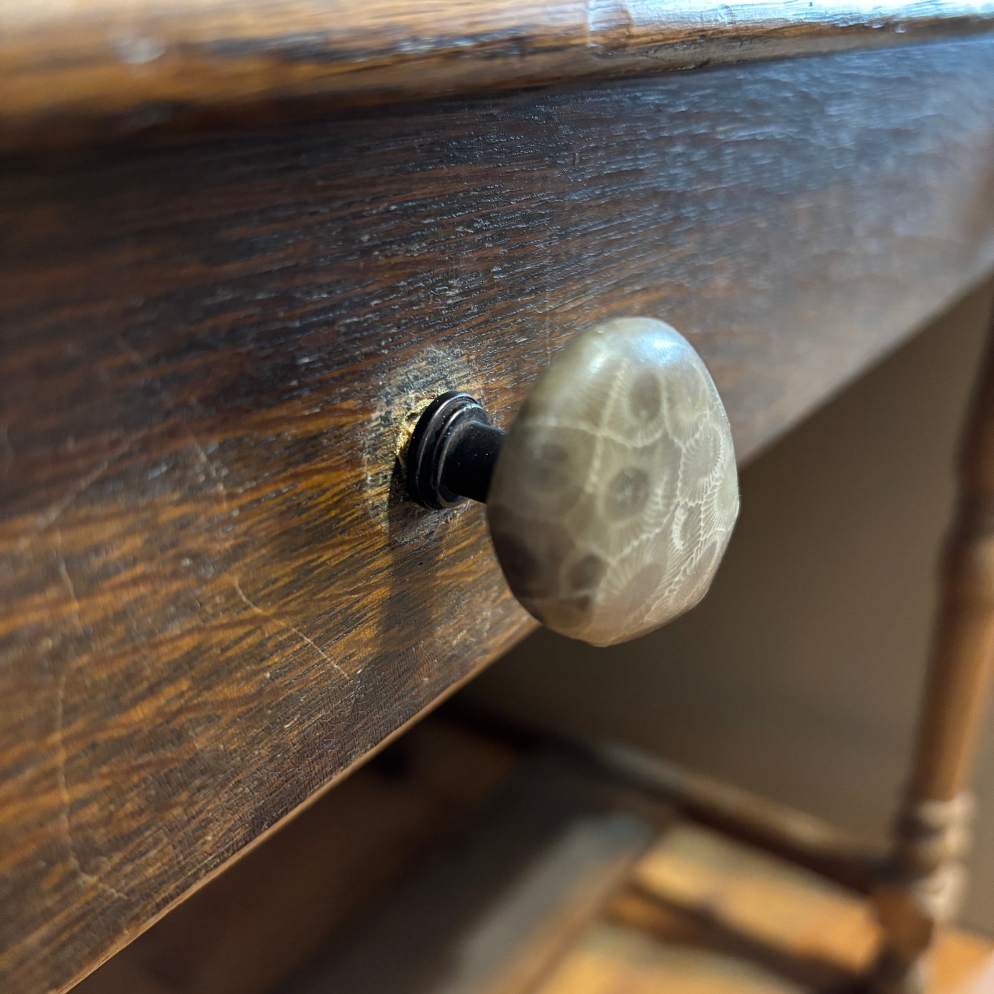 Petoskey Stone Cabinet Knob in Polished Natural Shape