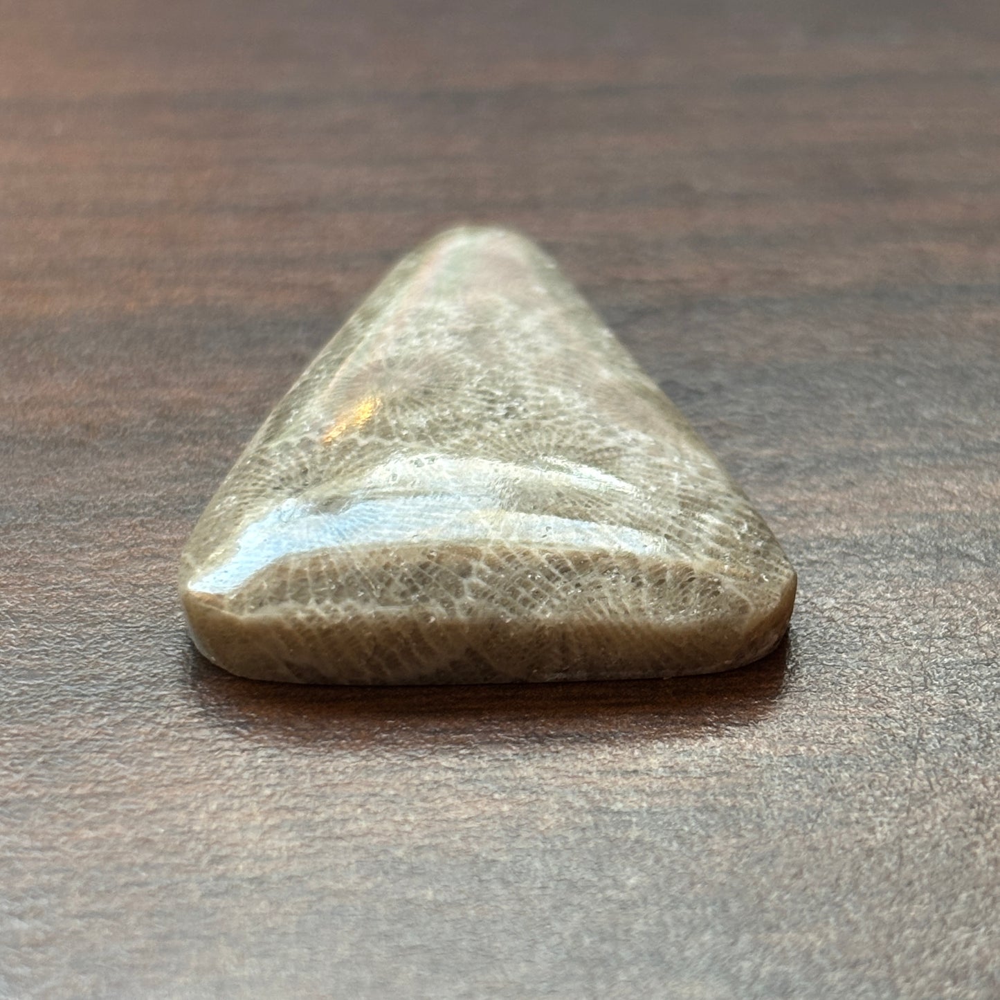 Petoskey Stone Cabochon 27mm x 35mm Rounded Isosceles Triangle