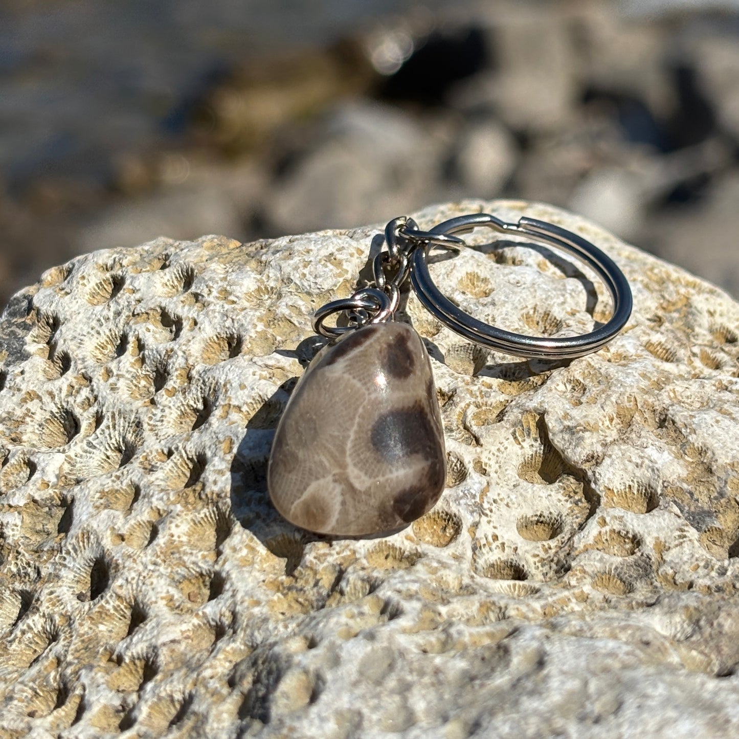 Polished Petoskey Stone Keychain