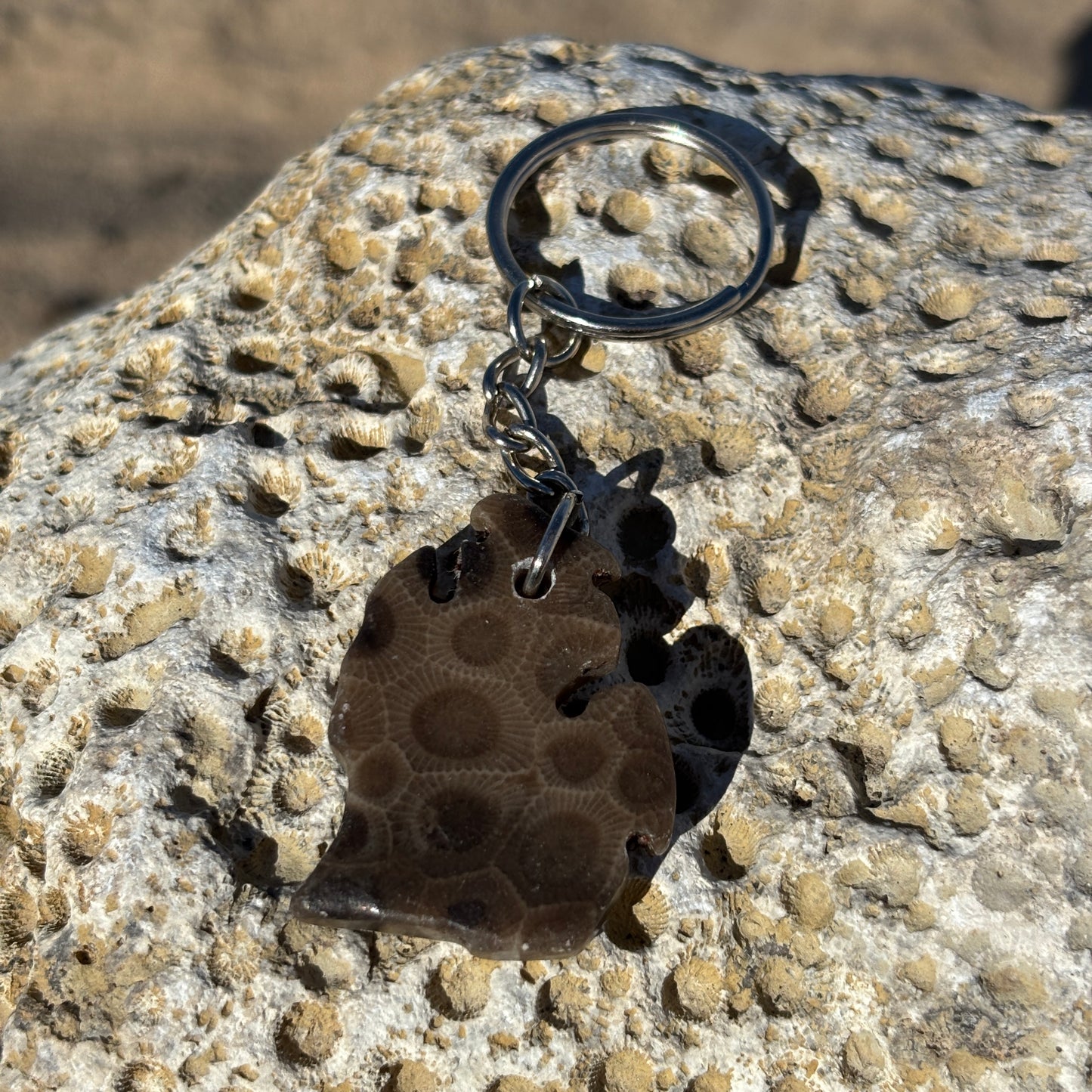 Polished and Shaped Petoskey Stone Keychain