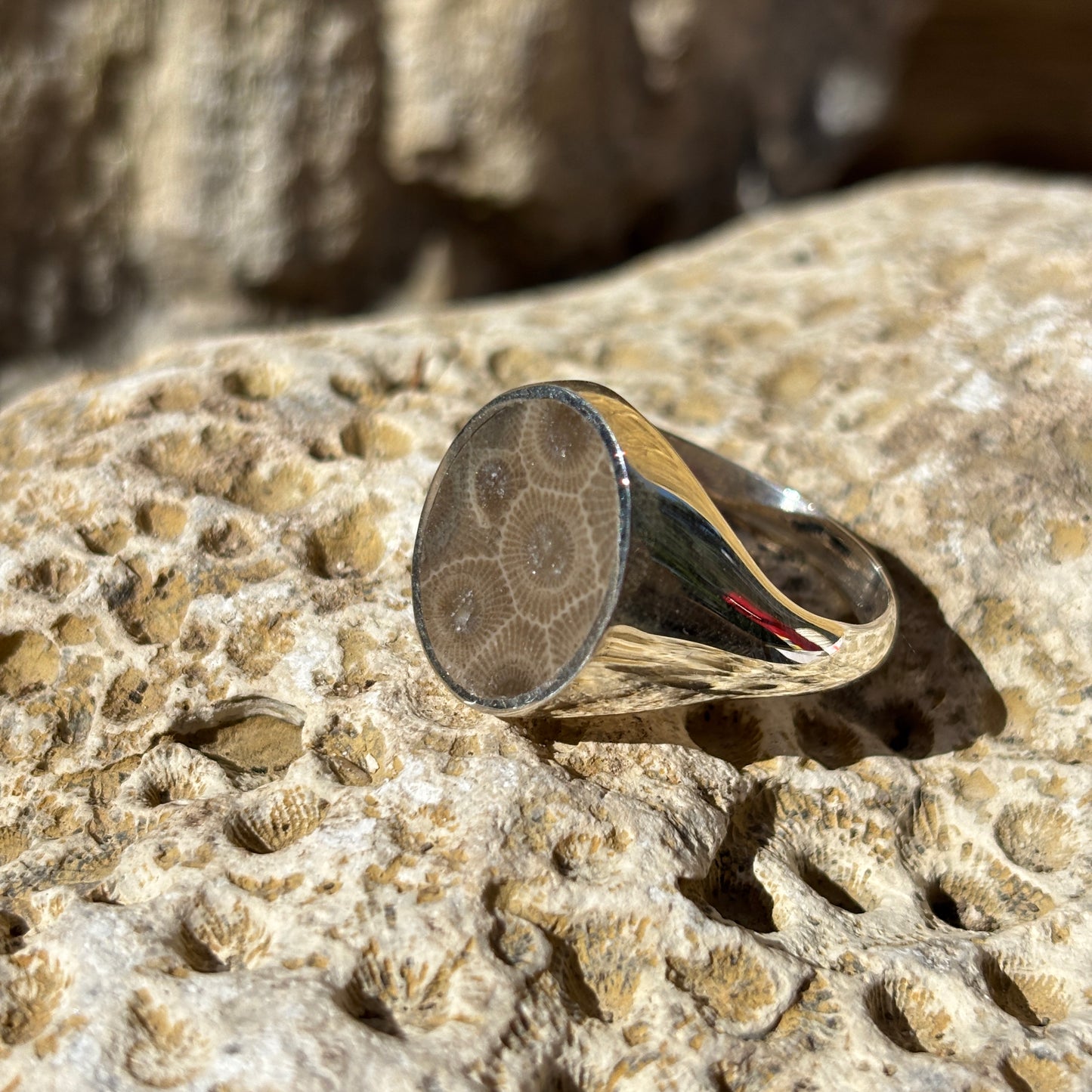 Men's Petoskey Stone Sterling Silver Rings