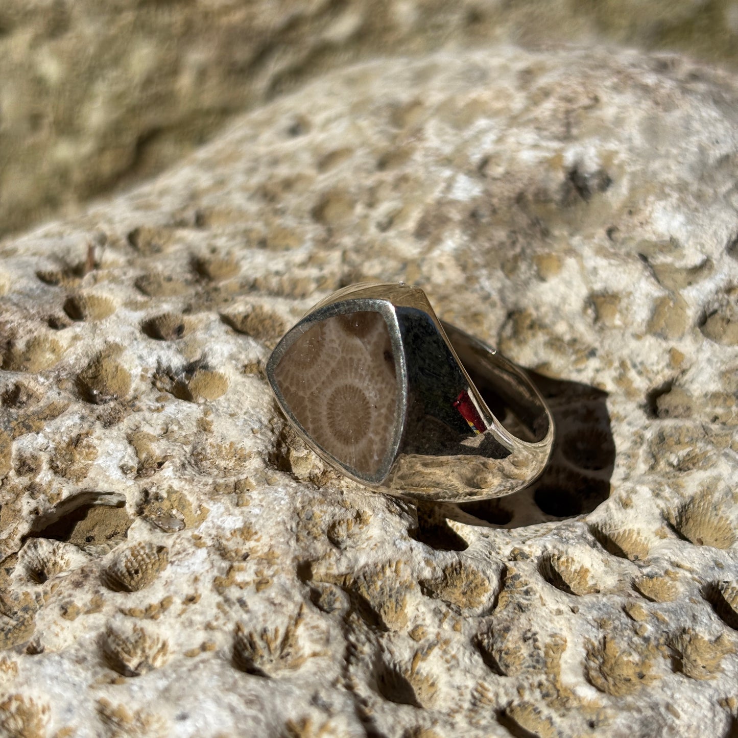 Men's Petoskey Stone Sterling Silver Rings