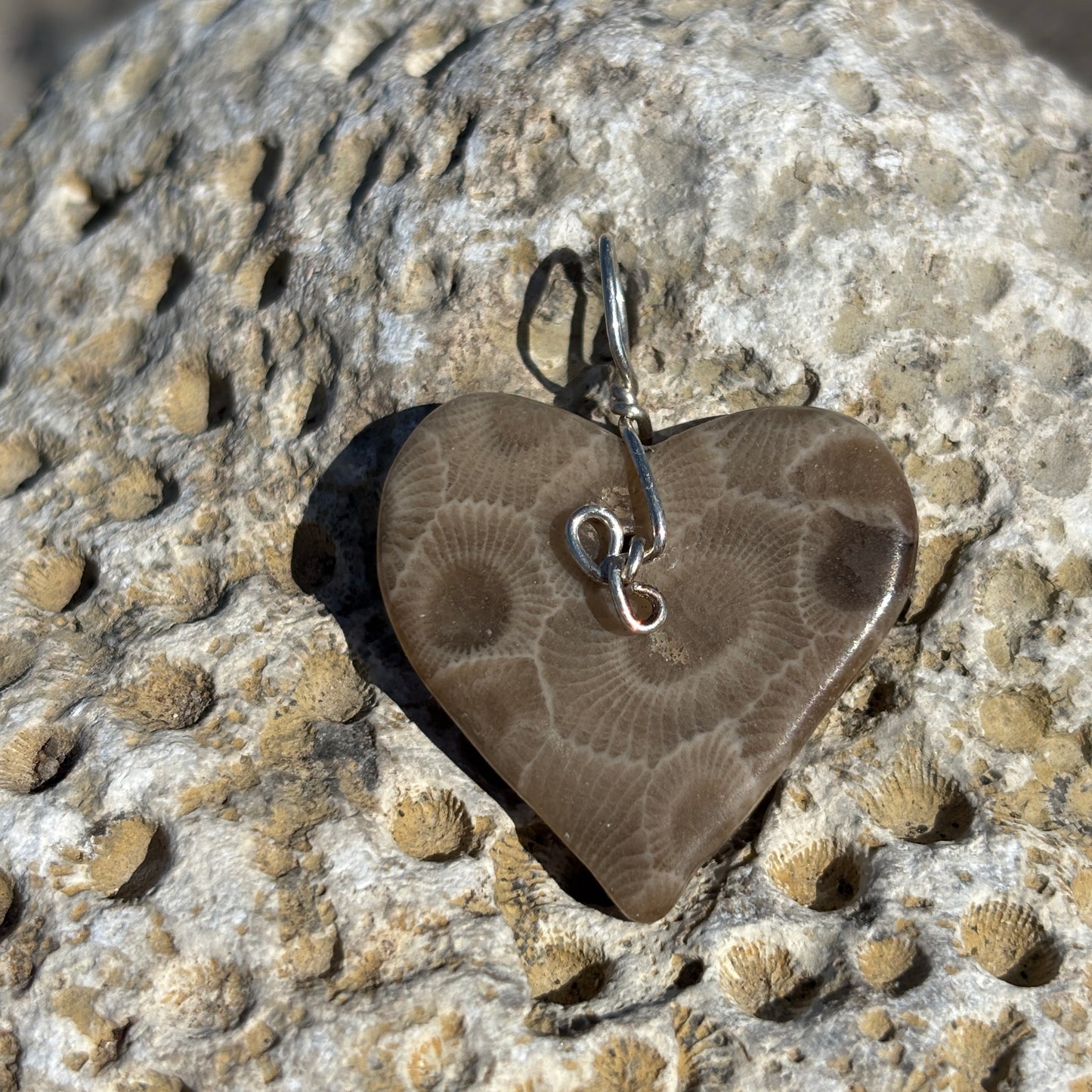 Large Simple Petoskey Stone Charms