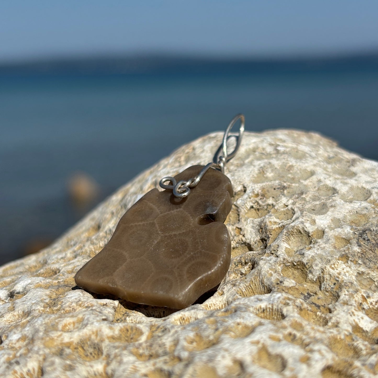 Large Simple Petoskey Stone Charms