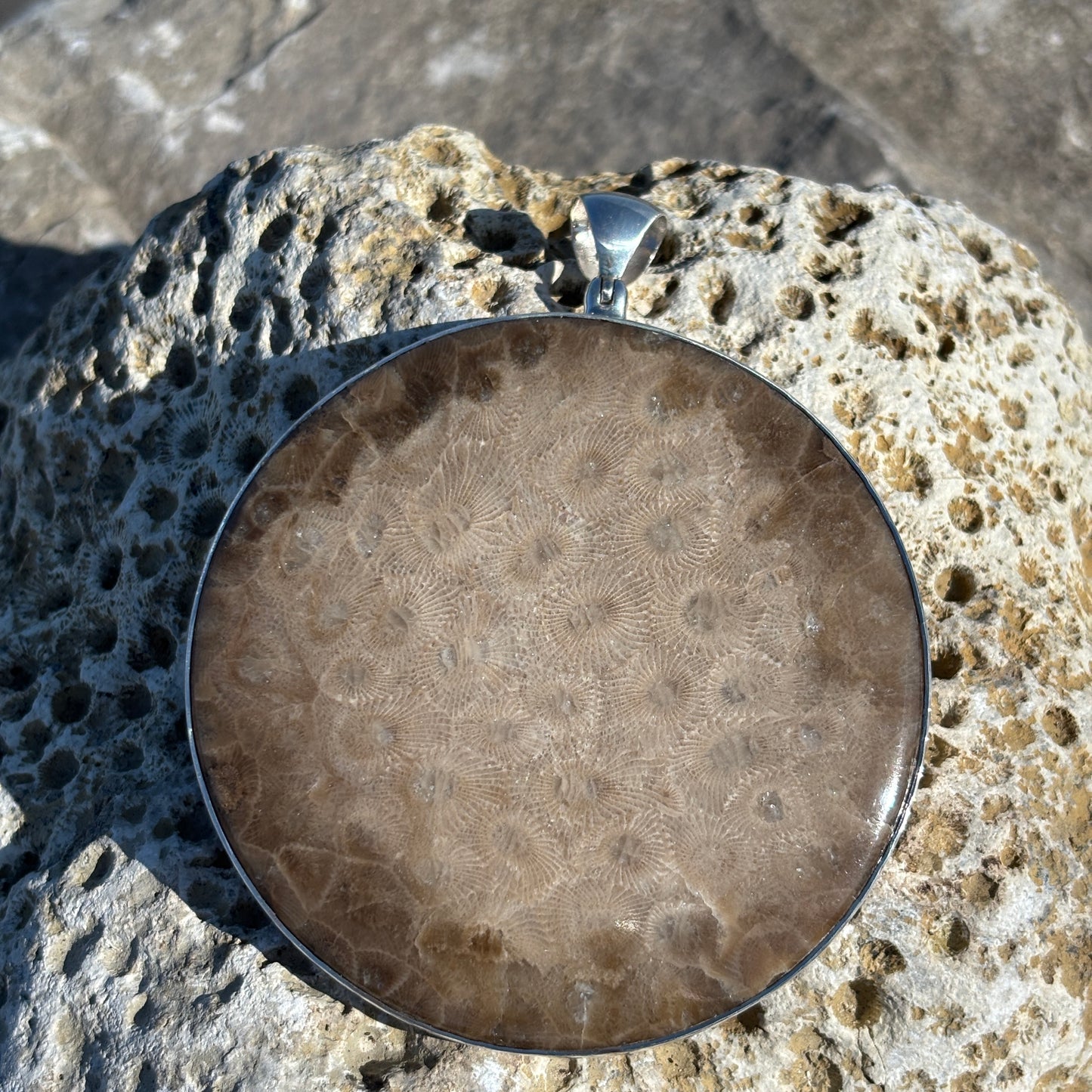 XL Petoskey Stone Necklace Pendant