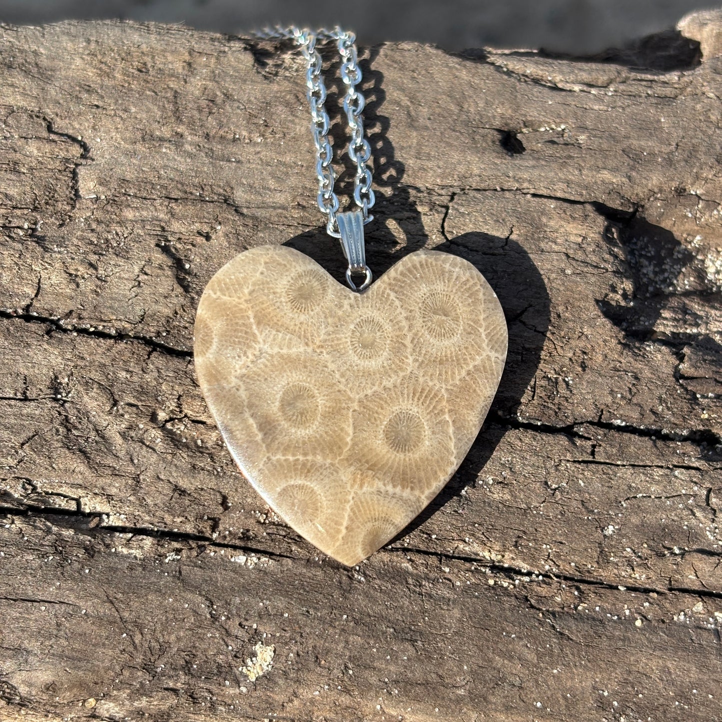Petoskey Stone Necklaces with Chain