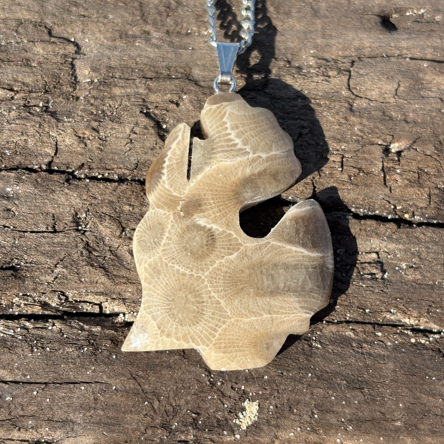 Petoskey Stone Necklaces with Chain