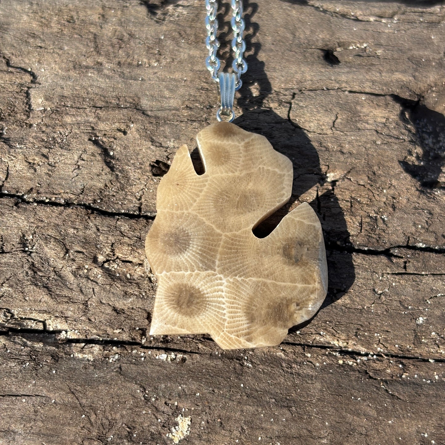 Petoskey Stone Necklaces with Chain