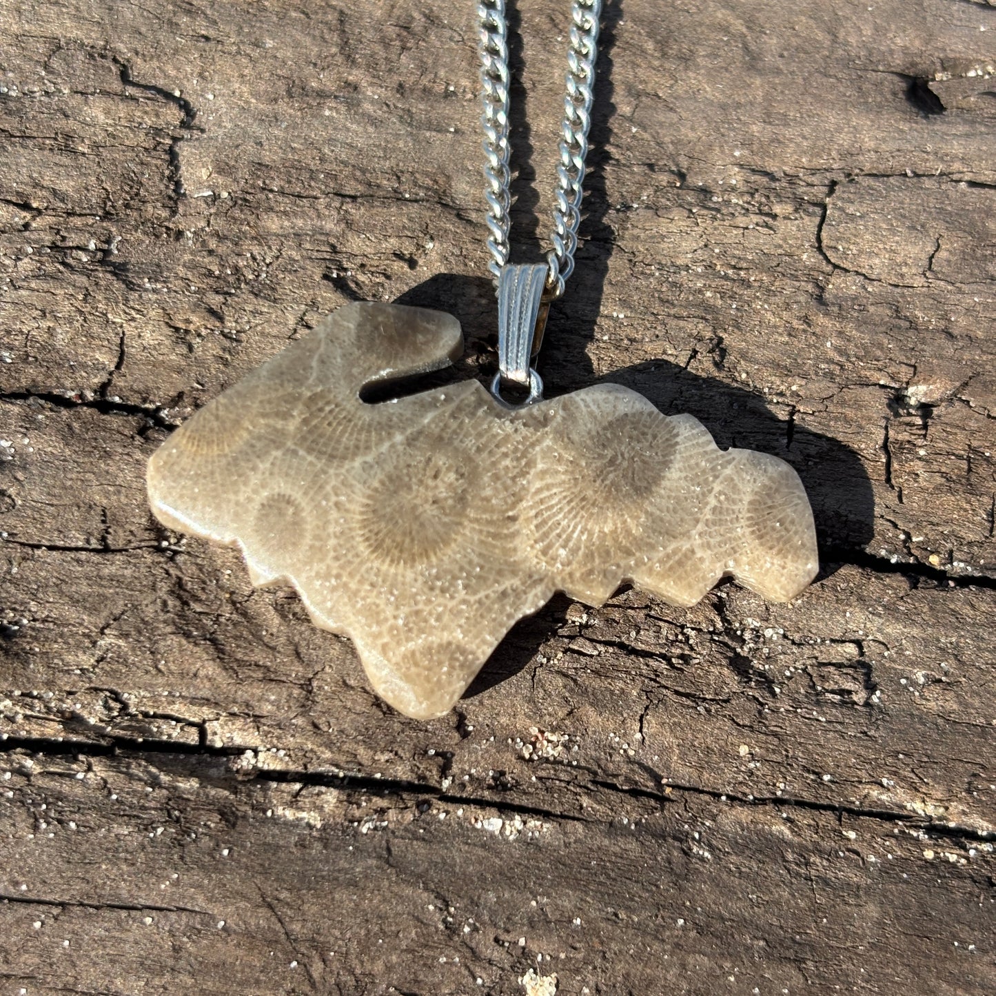 Petoskey Stone Necklaces with Chain