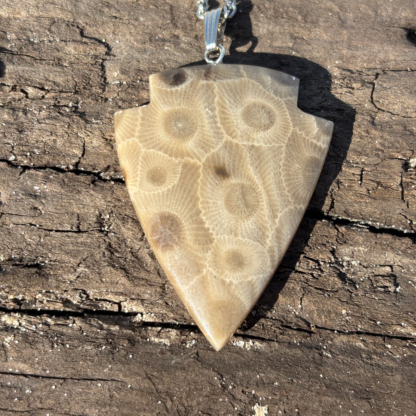 Petoskey Stone Necklaces with Chain