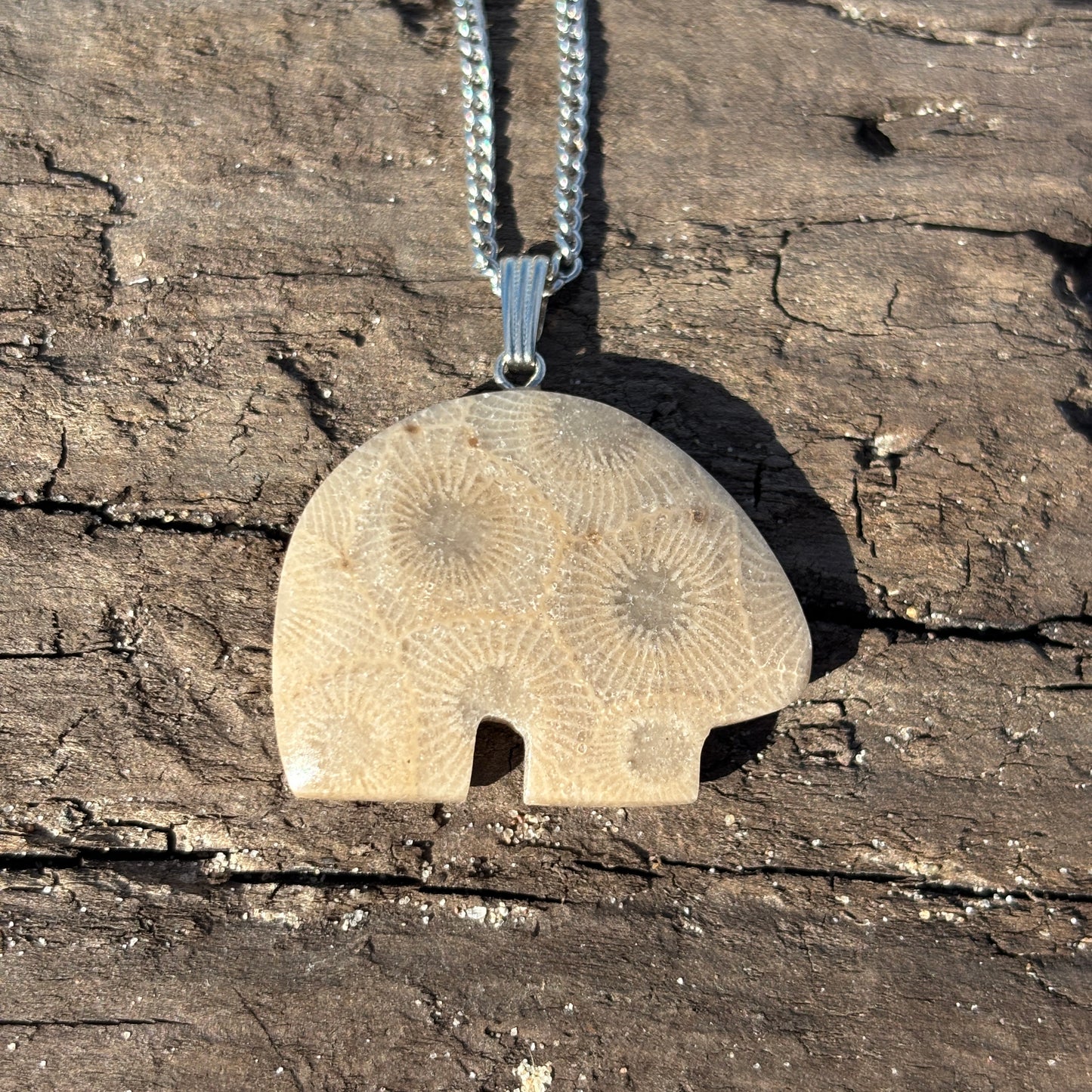 Petoskey Stone Necklaces with Chain