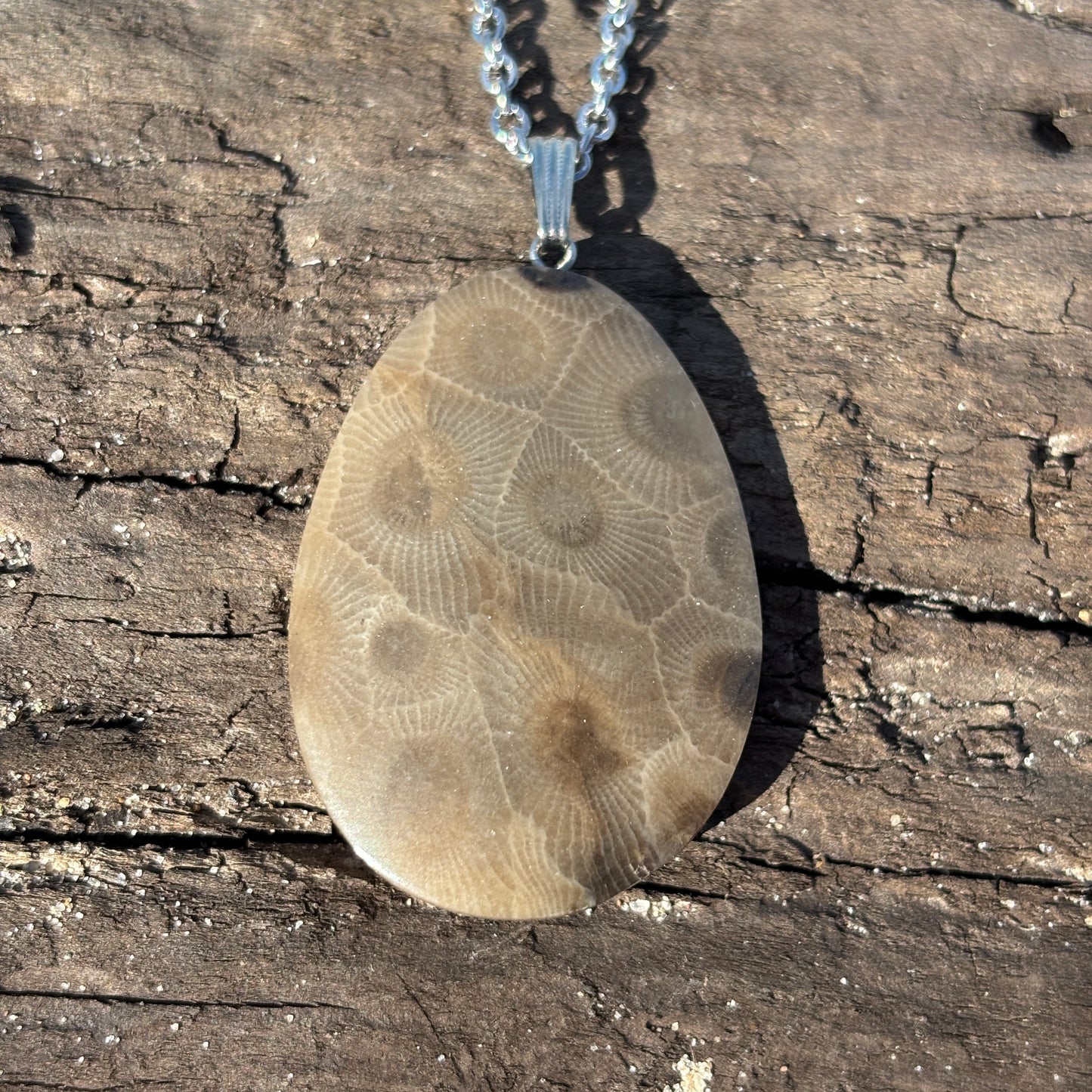 Petoskey Stone Necklaces with Chain