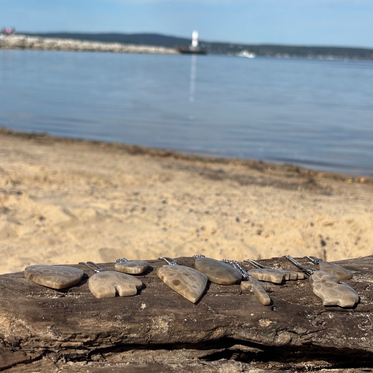 Petoskey Stone Necklaces with Chain