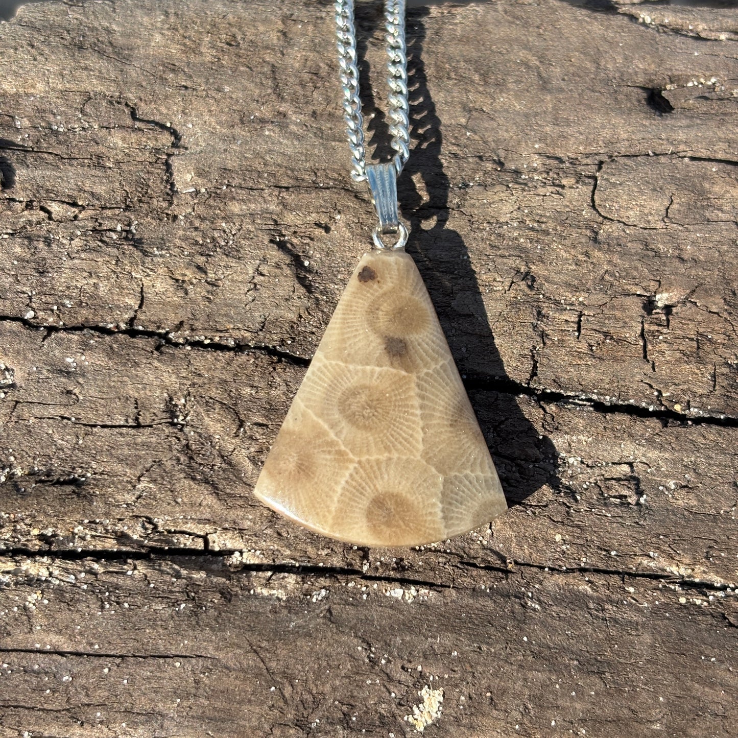 Petoskey Stone Necklaces with Chain