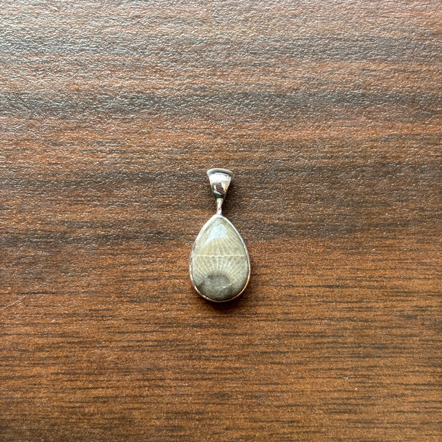 Petoskey Stone Pendant Encased in Sterling Silver