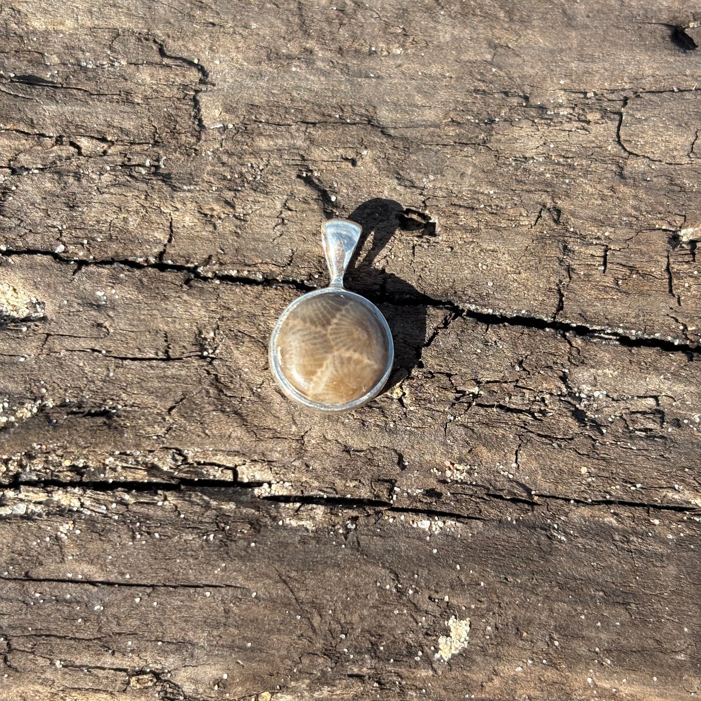 Petoskey Stone Pendant Encased in Sterling Silver