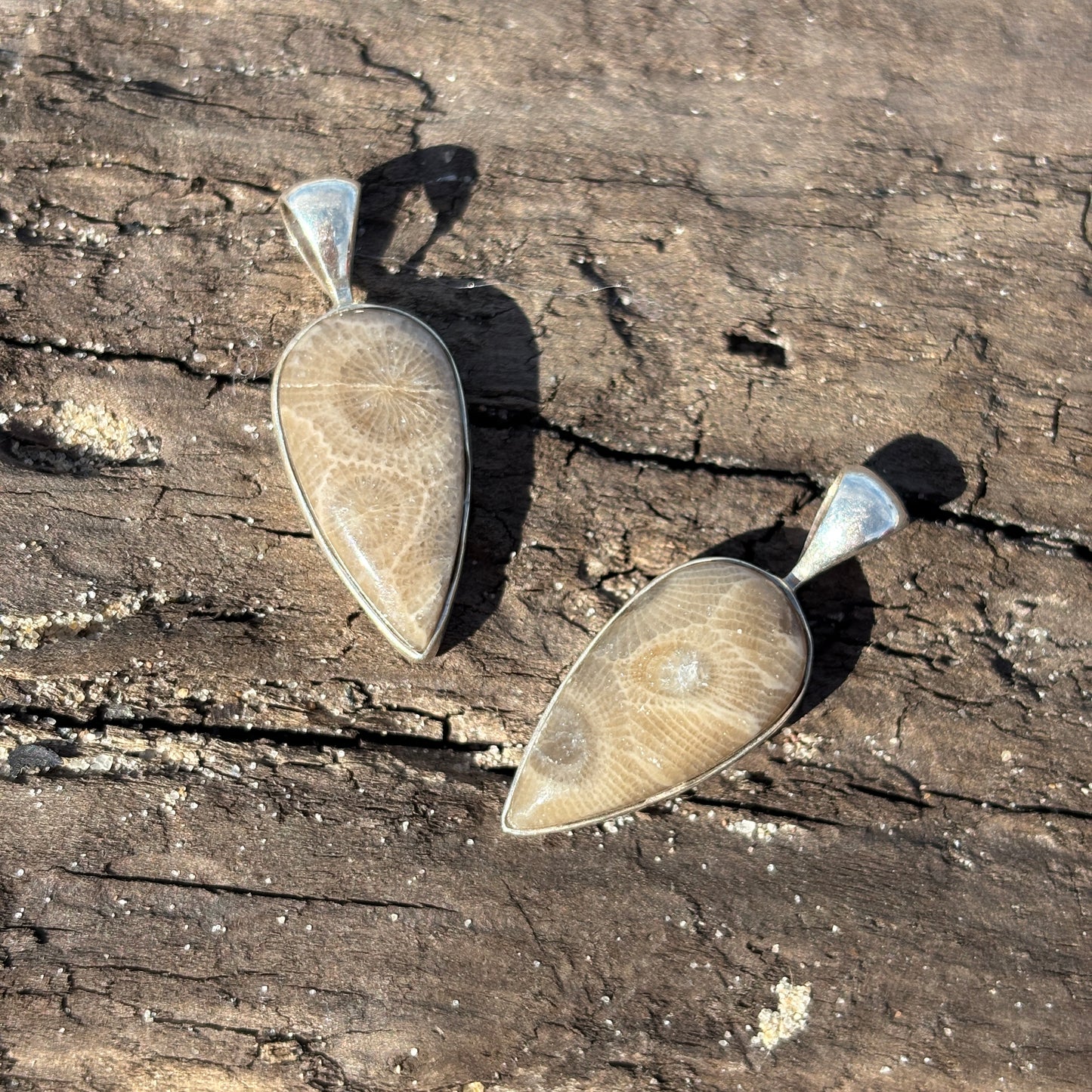 Petoskey Stone Pendant Encased in Sterling Silver