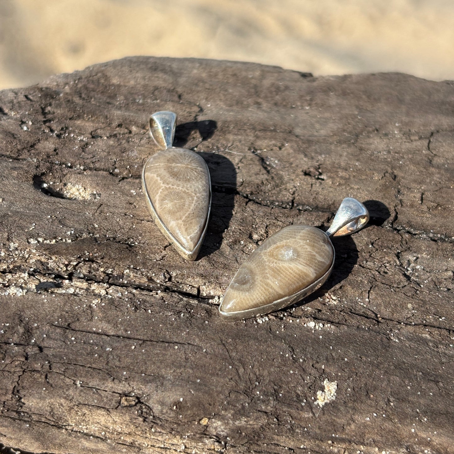 Petoskey Stone Pendant Encased in Sterling Silver