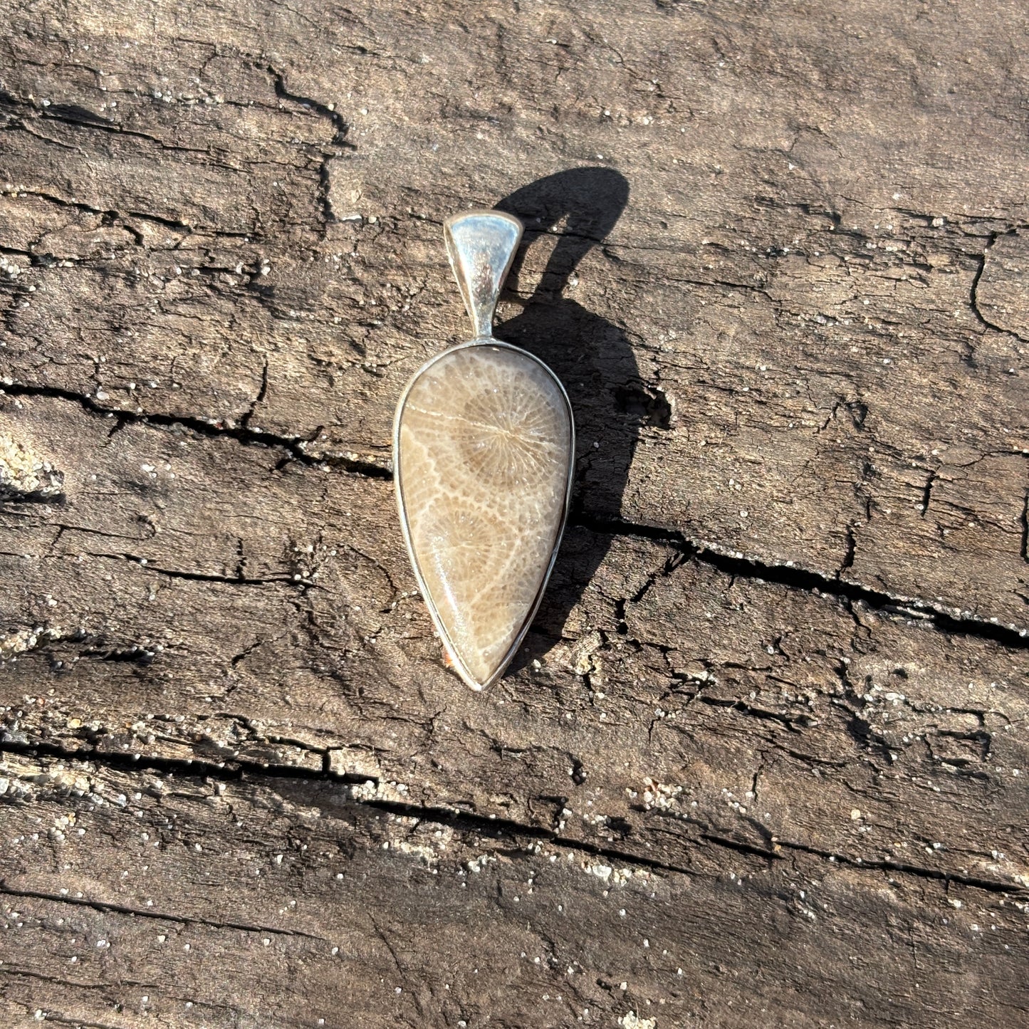 Petoskey Stone Pendant Encased in Sterling Silver