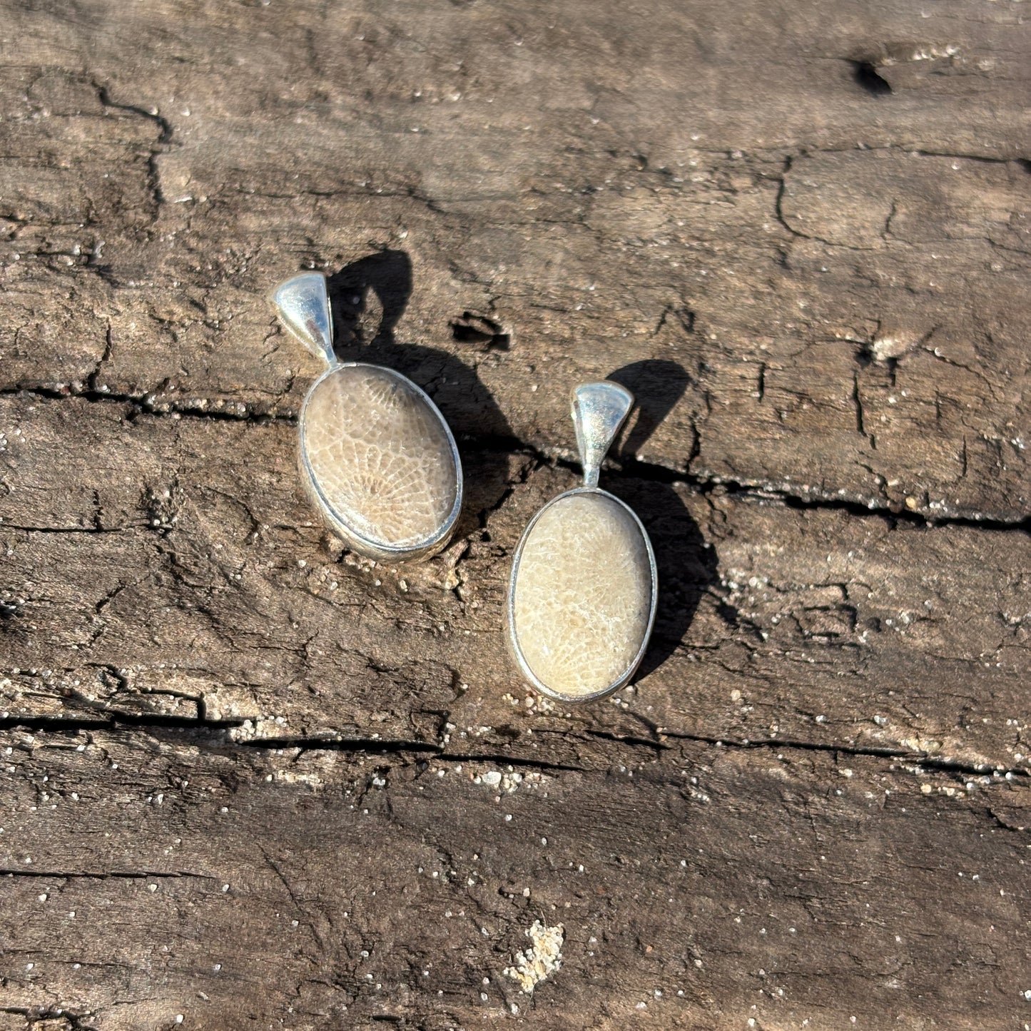 Petoskey Stone Pendant Encased in Sterling Silver