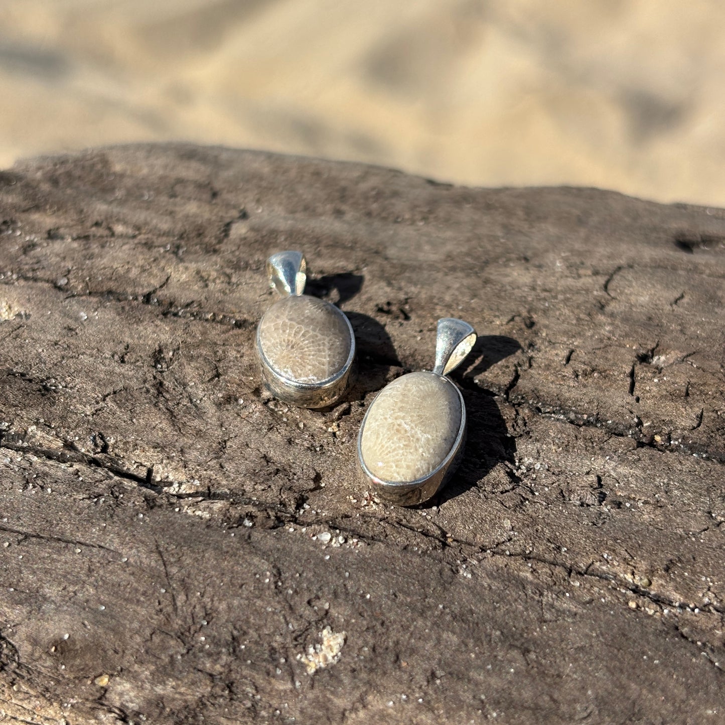 Petoskey Stone Pendant Encased in Sterling Silver