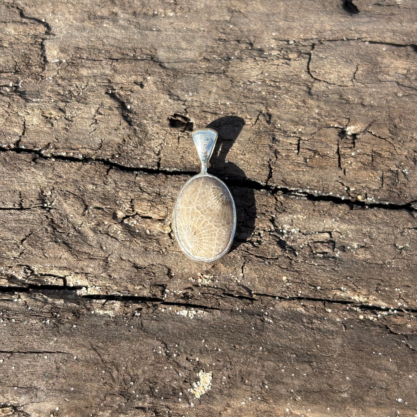 Petoskey Stone Pendant Encased in Sterling Silver