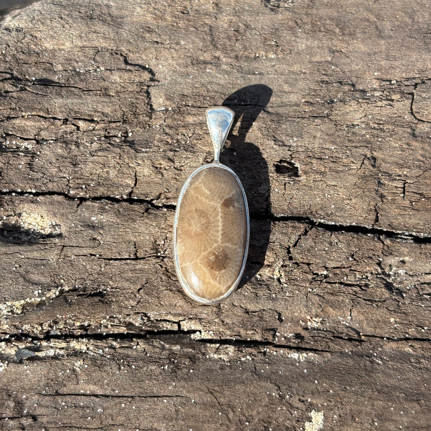 Petoskey Stone Pendant Encased in Sterling Silver
