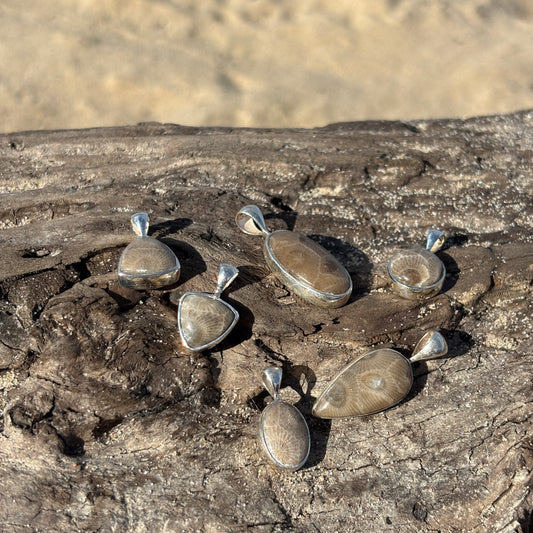 Petoskey Stone Pendant Encased in Sterling Silver
