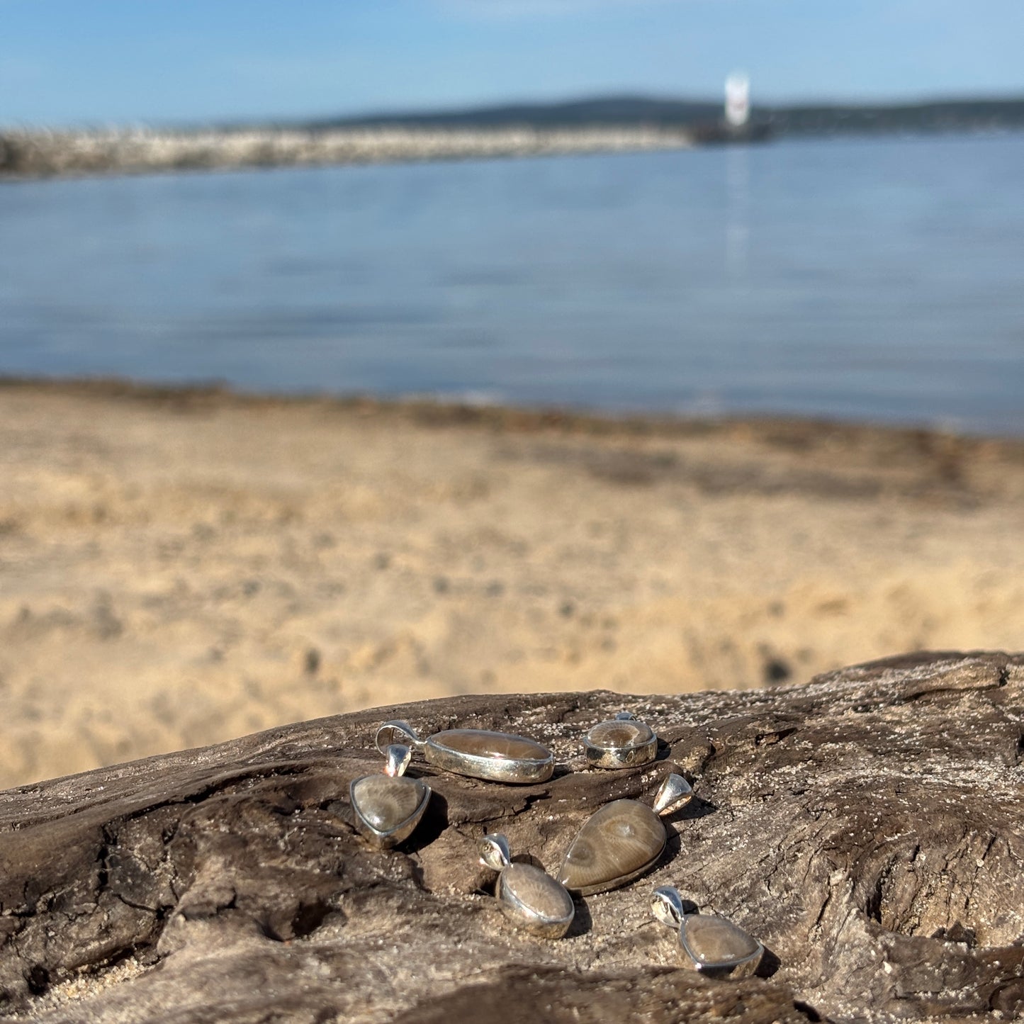 Petoskey Stone Pendant Encased in Sterling Silver