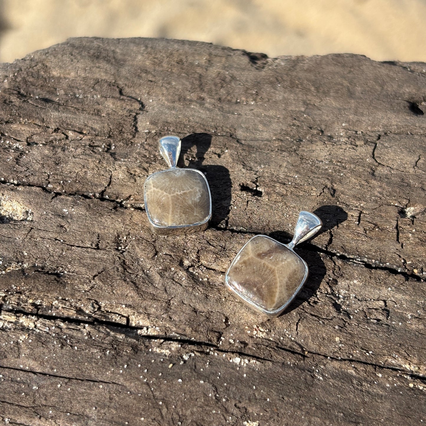 Petoskey Stone Pendant Encased in Sterling Silver