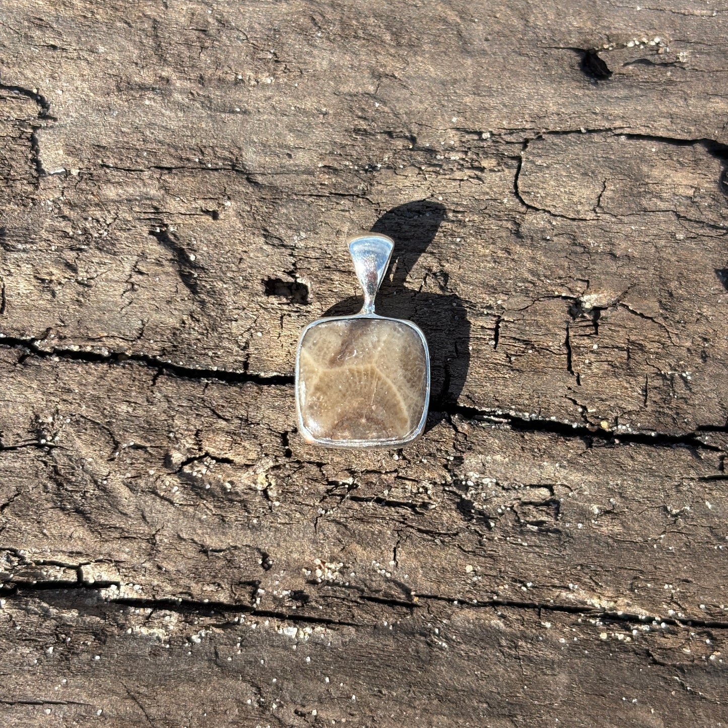Petoskey Stone Pendant Encased in Sterling Silver