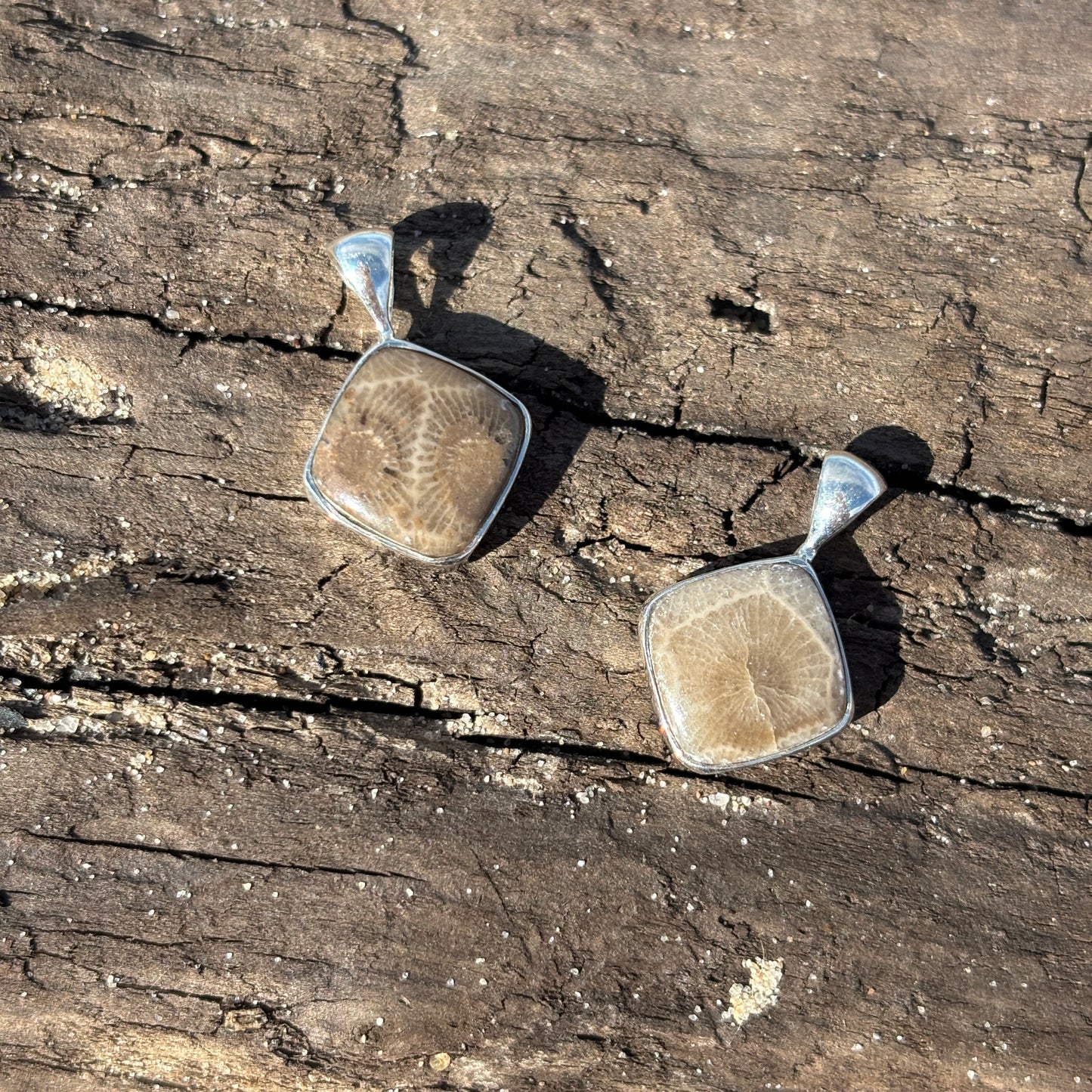 Petoskey Stone Pendant Encased in Sterling Silver
