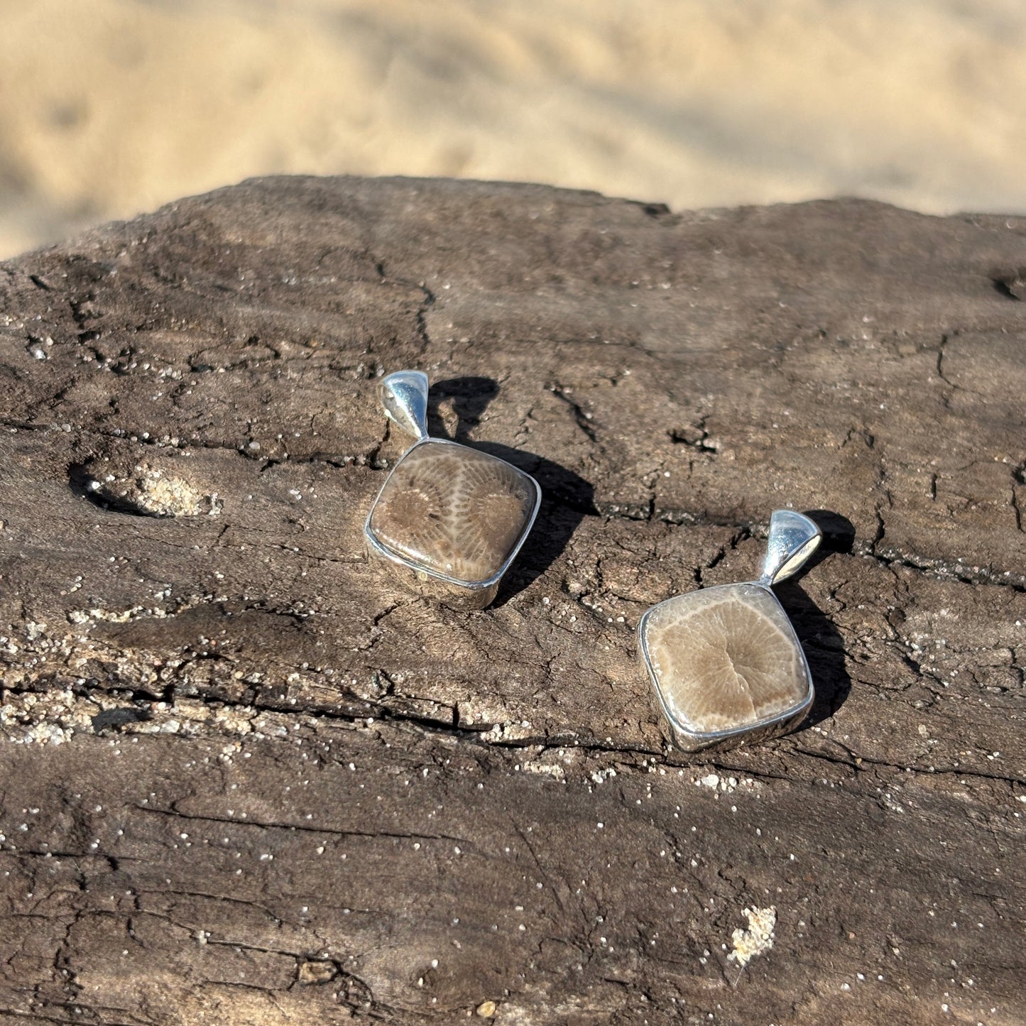 Petoskey Stone Pendant Encased in Sterling Silver
