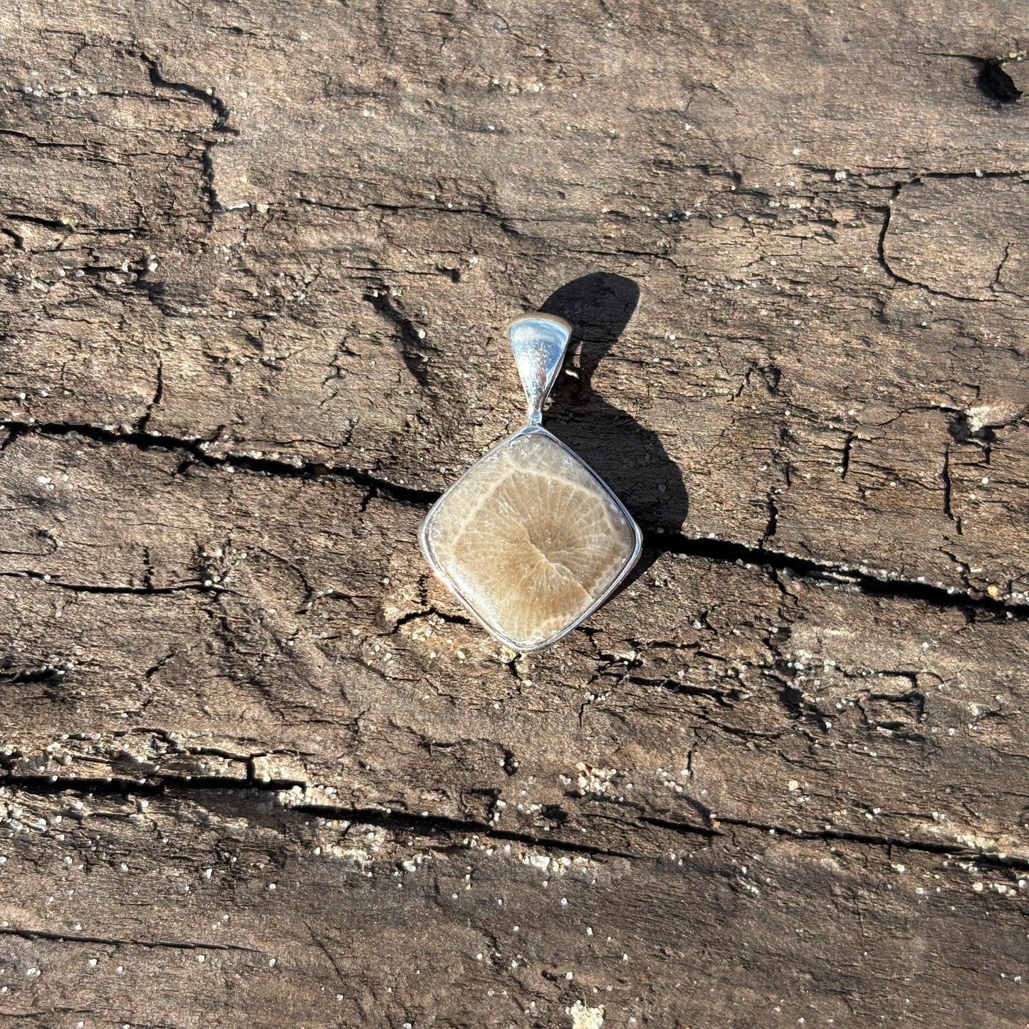 Petoskey Stone Pendant Encased in Sterling Silver