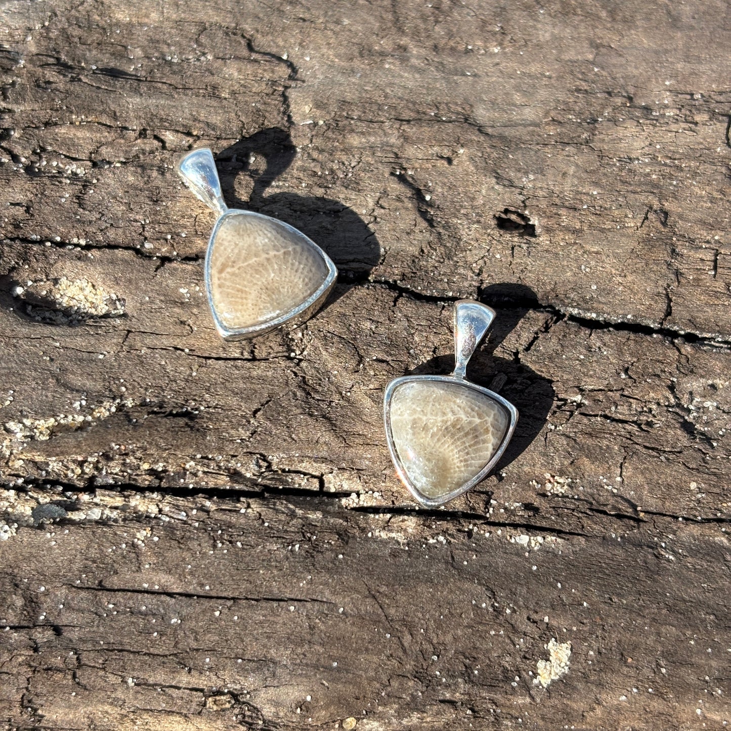 Petoskey Stone Pendant Encased in Sterling Silver