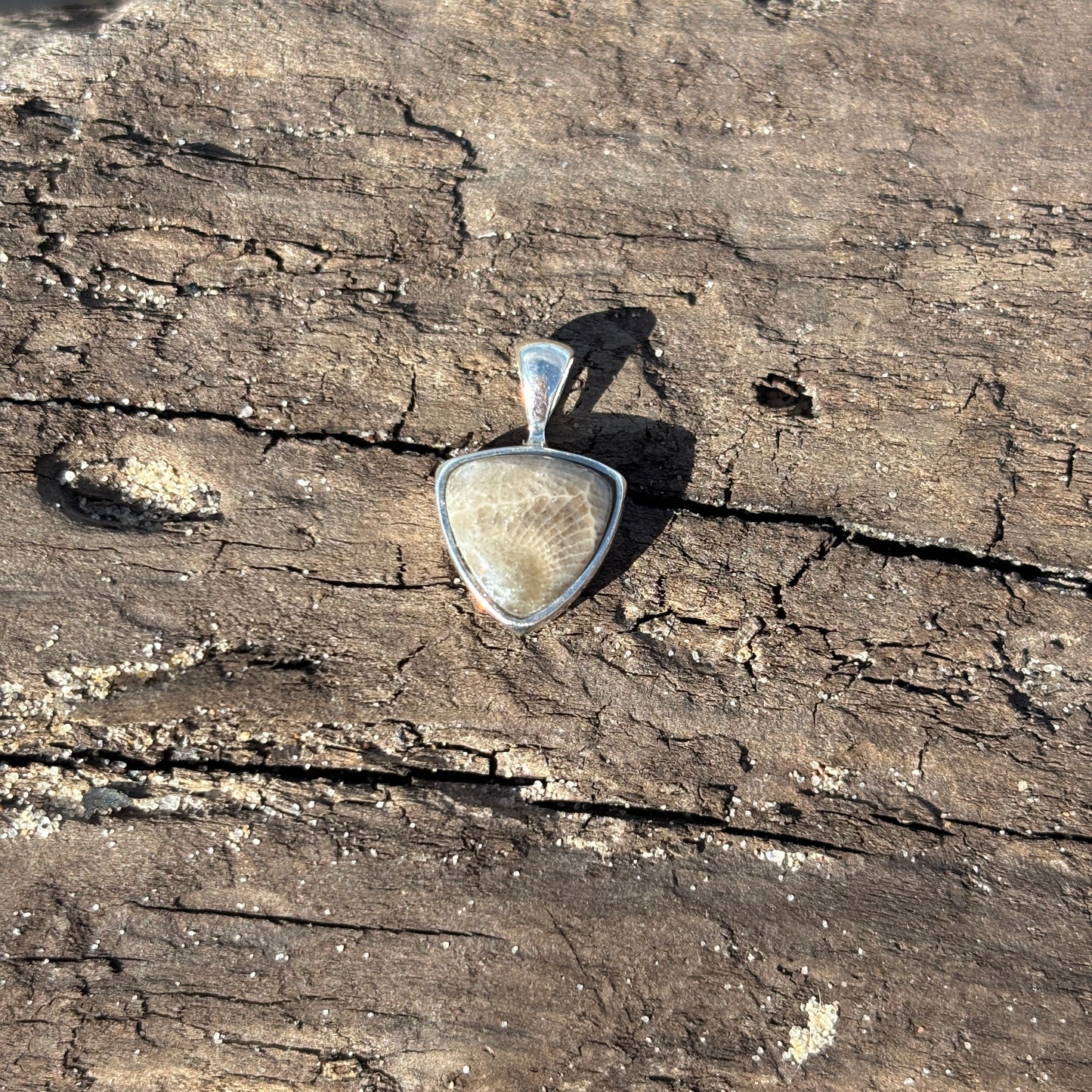 Petoskey Stone Pendant Encased in Sterling Silver