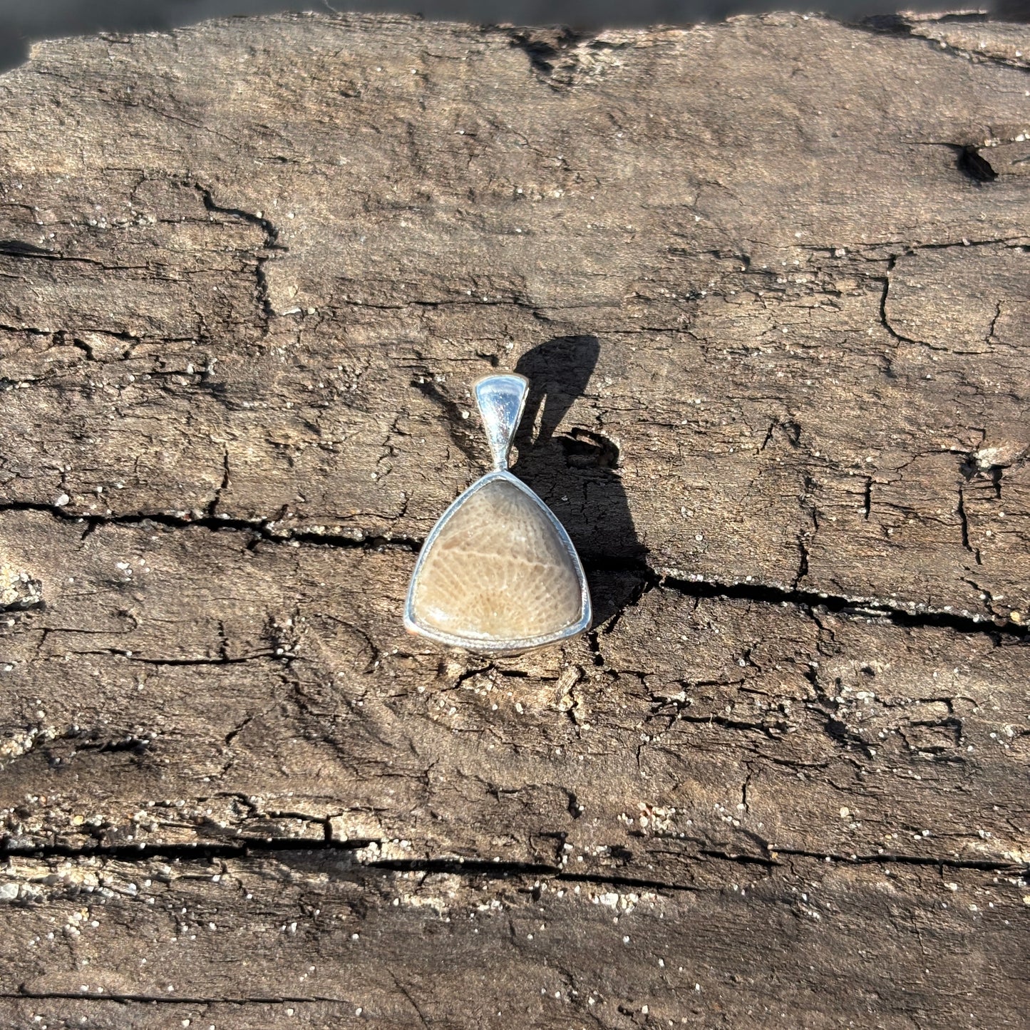 Petoskey Stone Pendant Encased in Sterling Silver