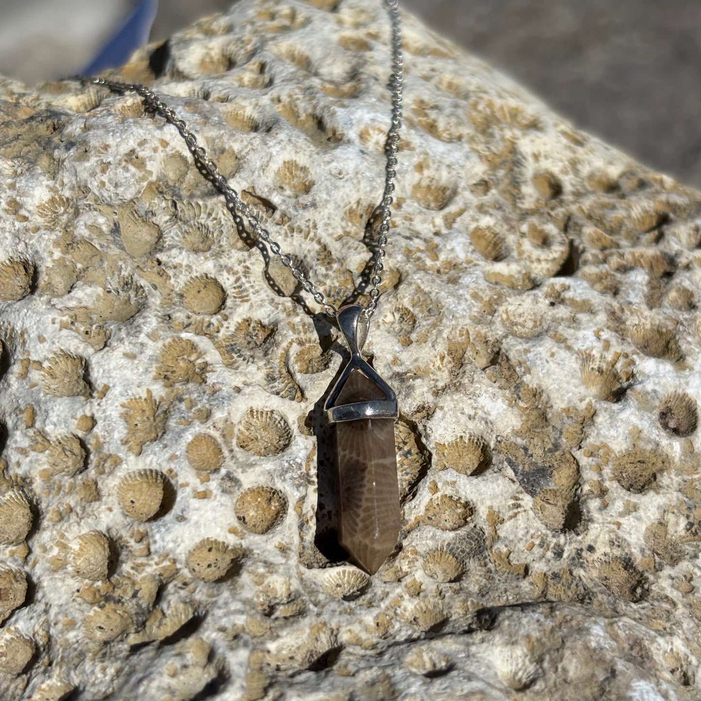 Sliding Petoskey Stone Necklace with Sterling Silver