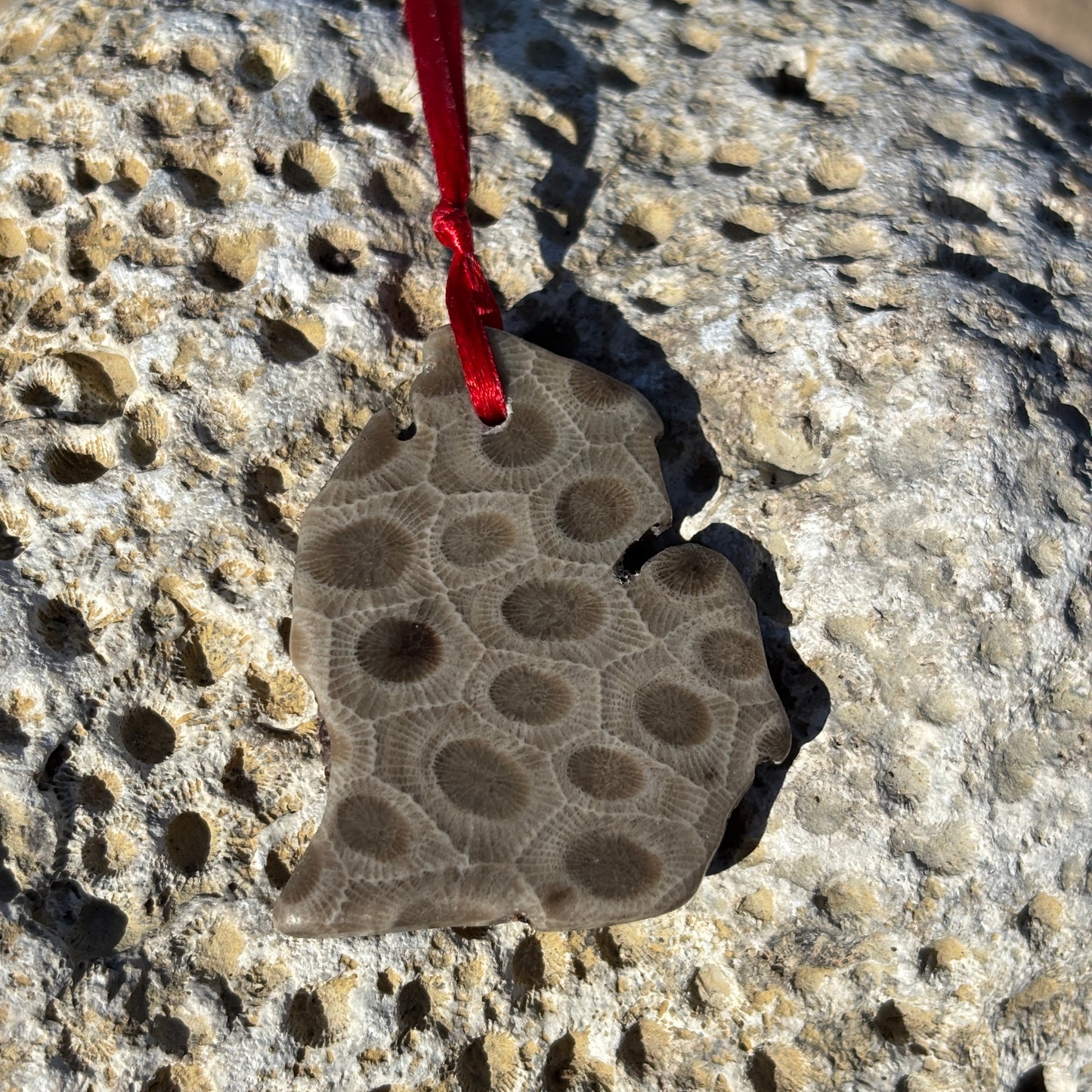 Petoskey Stone Ornaments