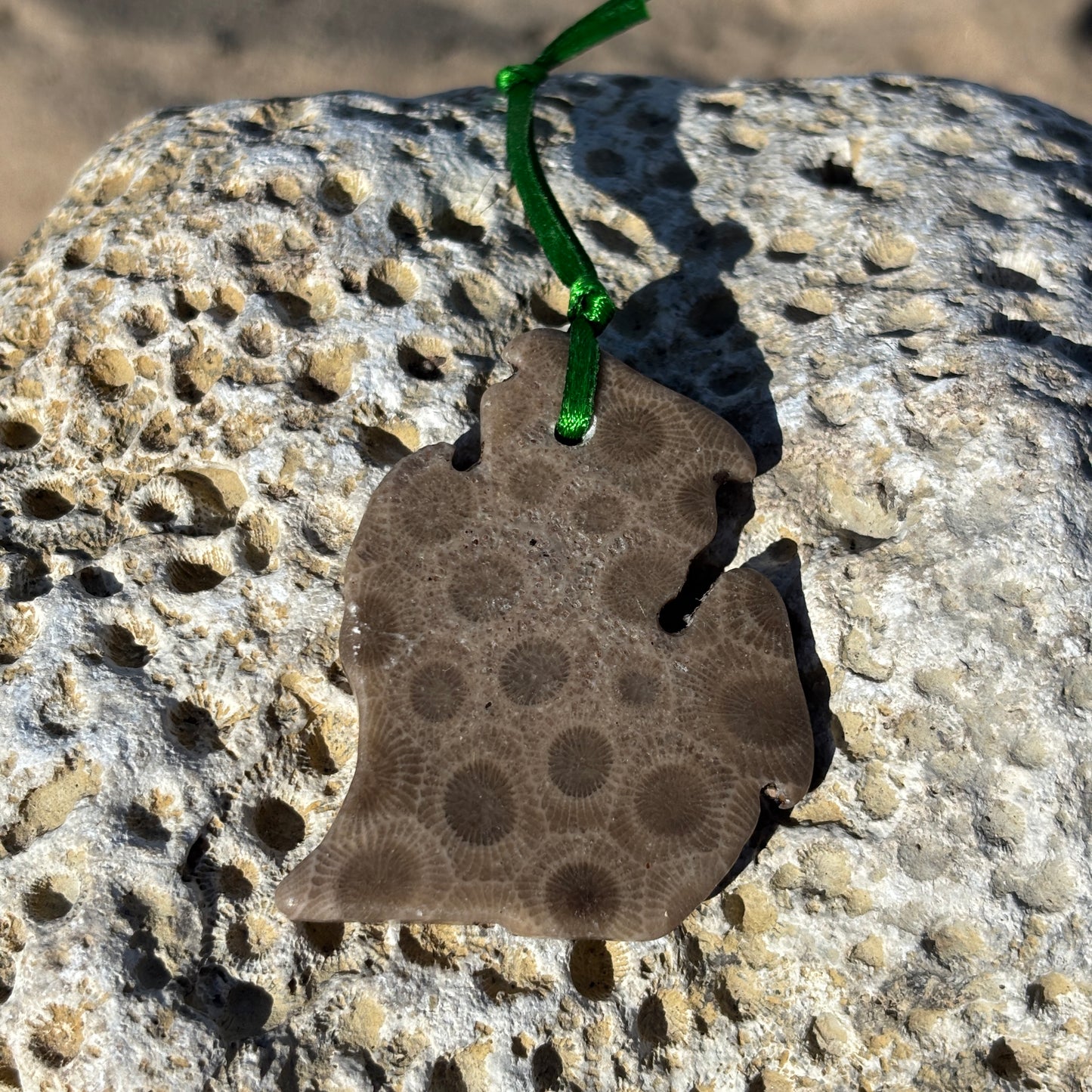 Petoskey Stone Ornaments