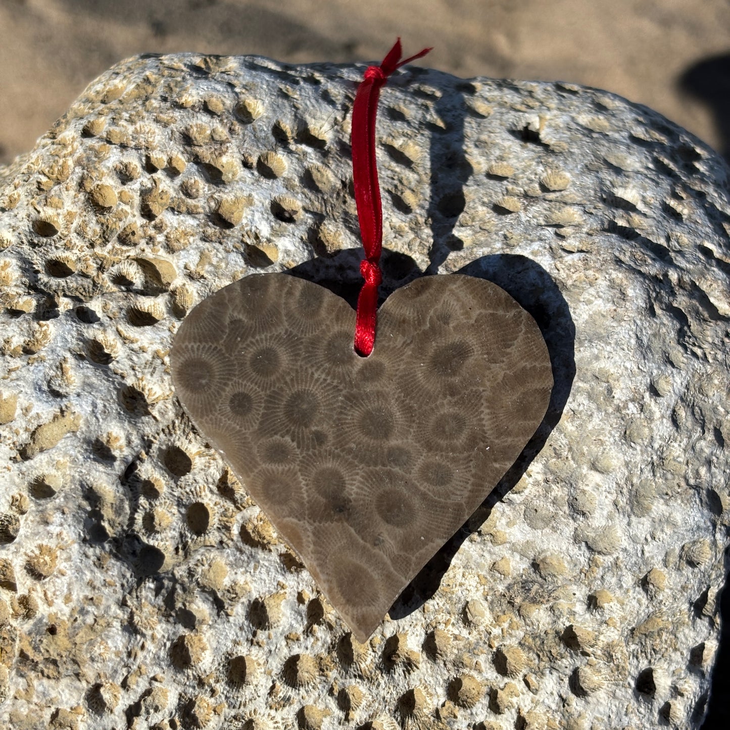 Petoskey Stone Ornaments