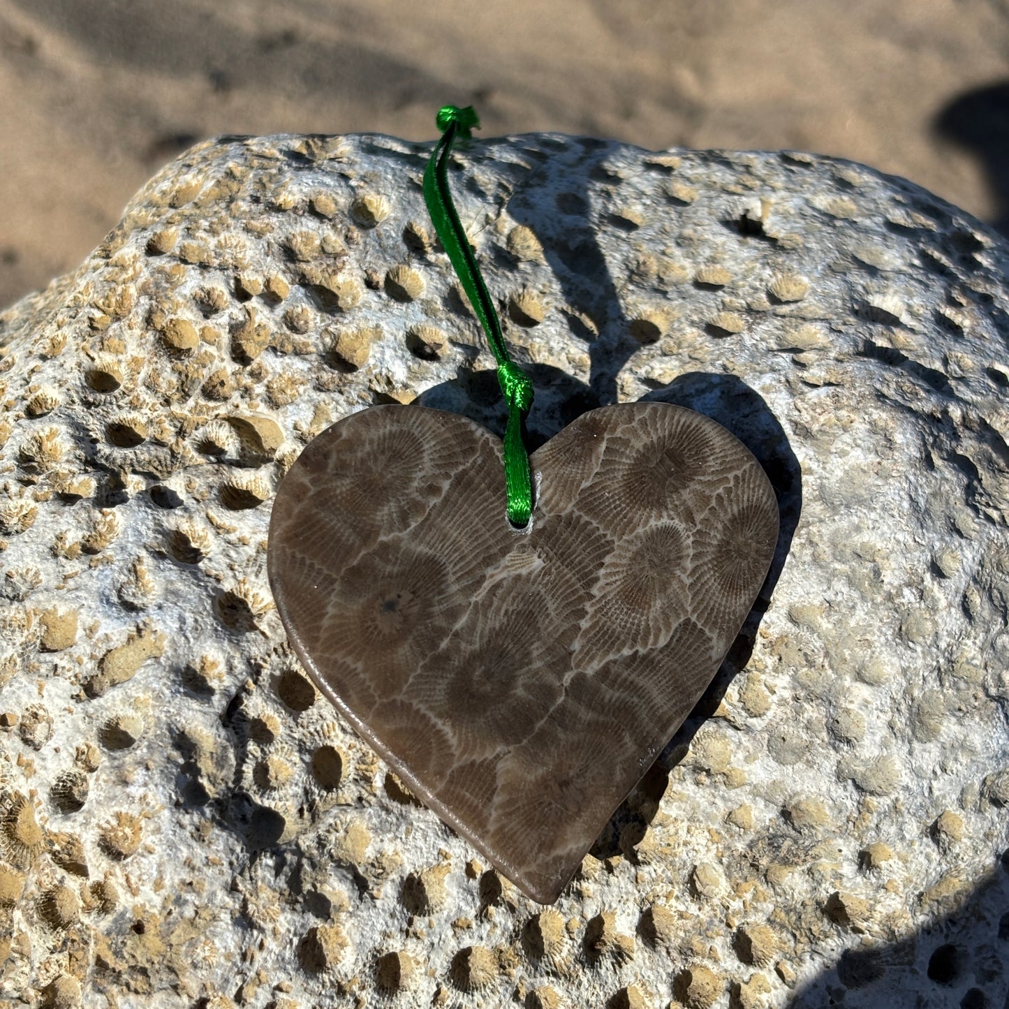 Petoskey Stone Ornaments