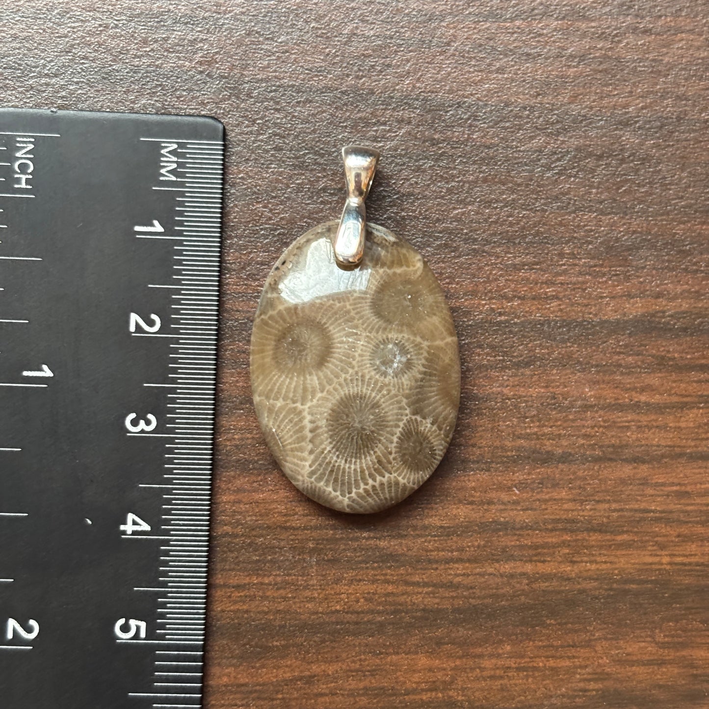 Petoskey Stone Pendant 20x28mm Oval