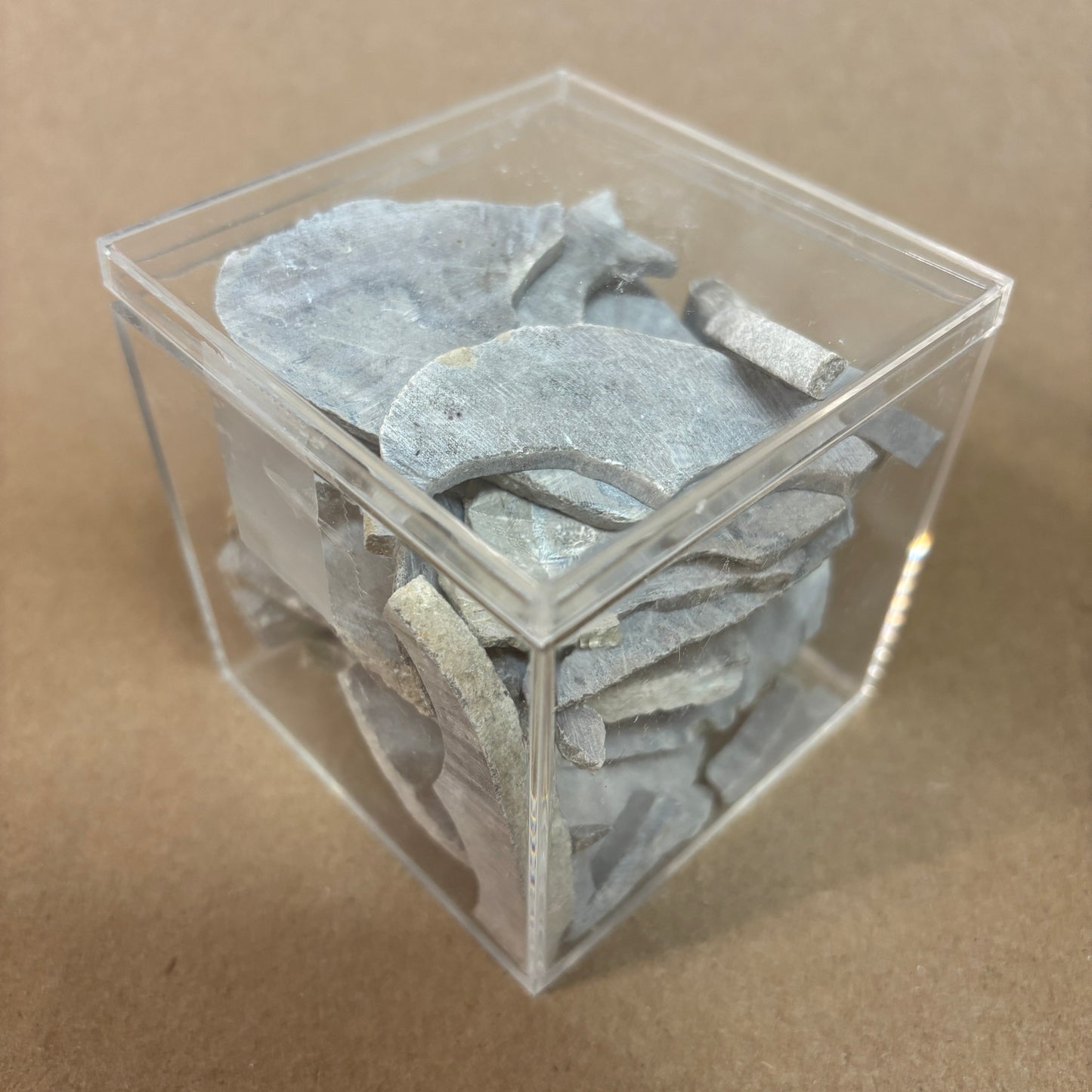 Petoskey Stone Project Stones