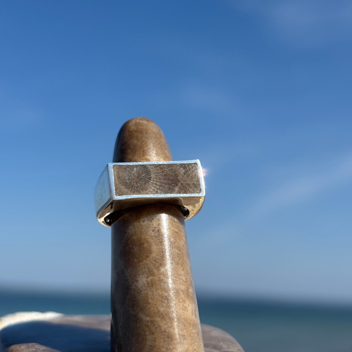 Men's Petoskey Stone Sterling Silver Rings