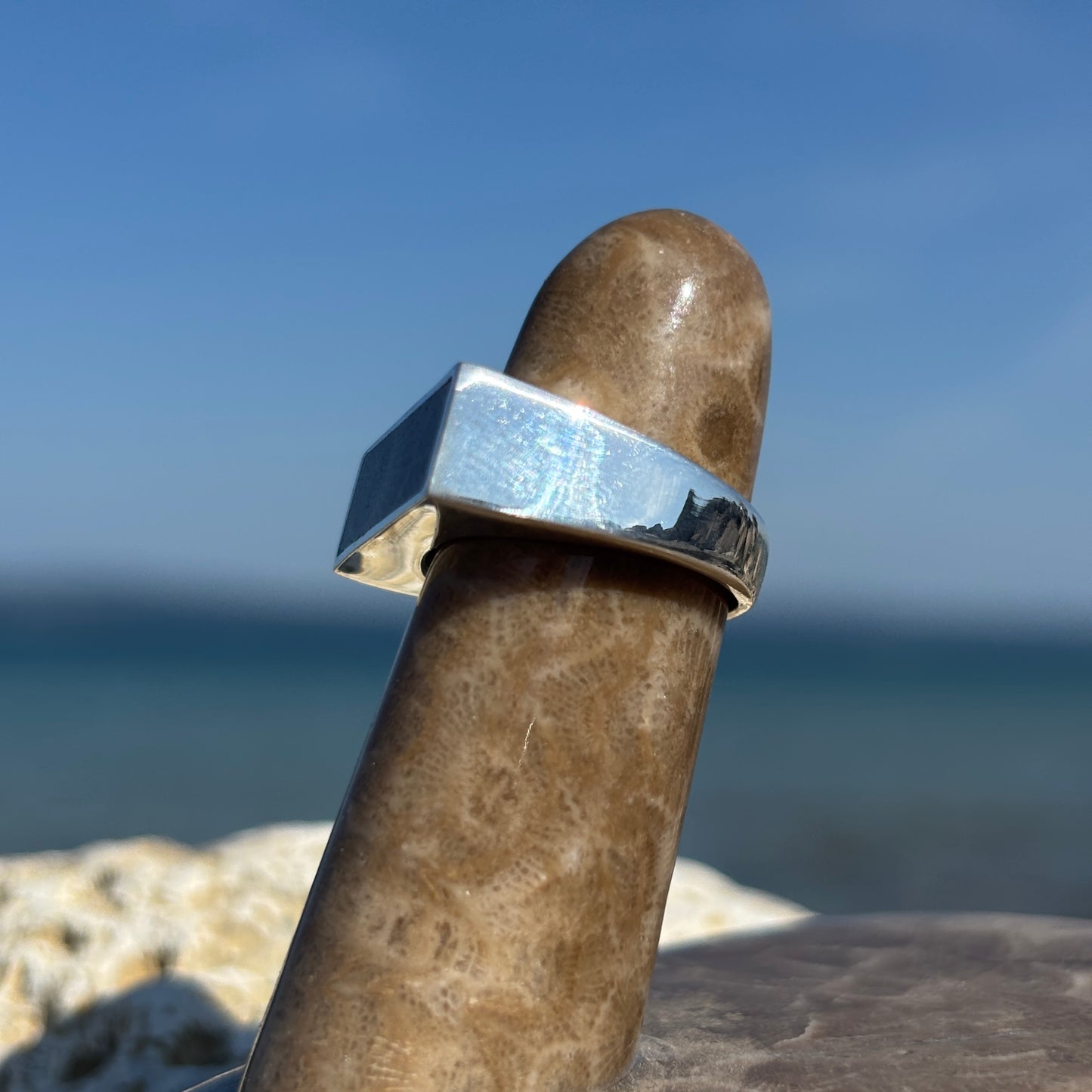 Men's Petoskey Stone Sterling Silver Rings