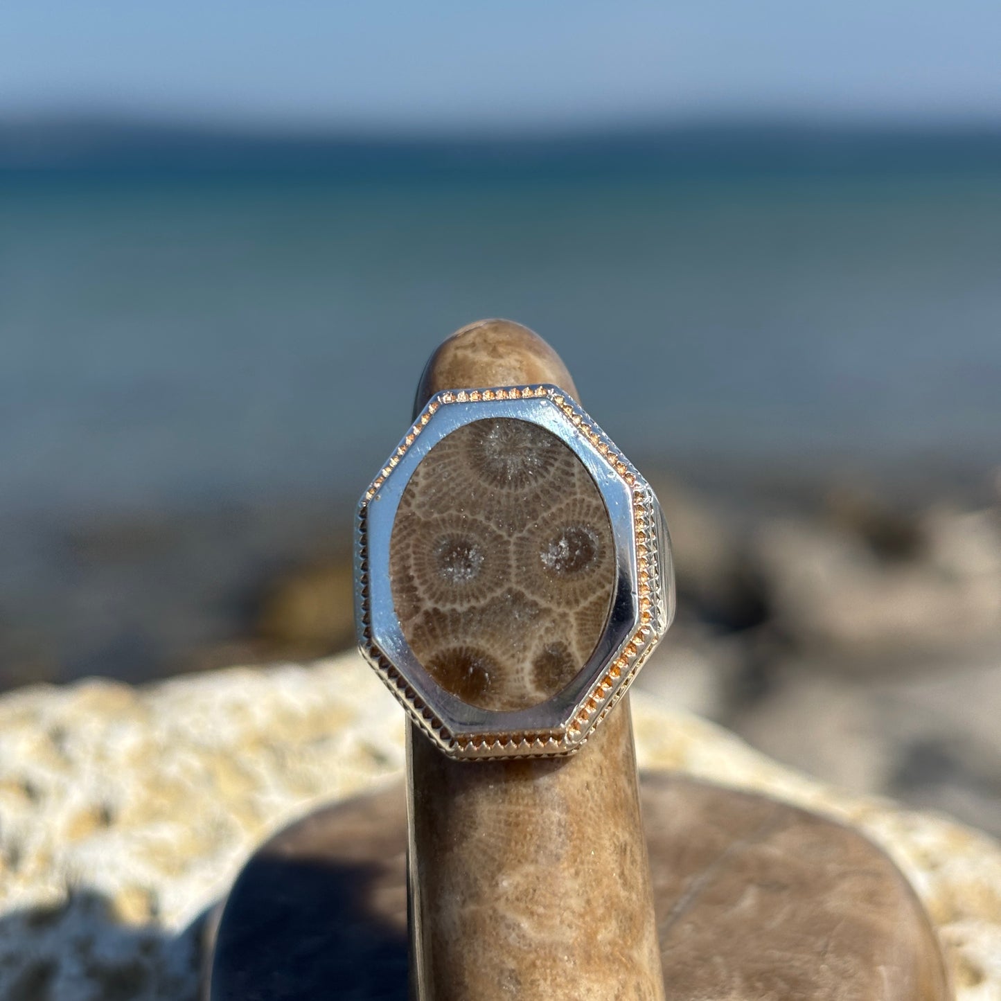 Men's Petoskey Stone Sterling Silver Rings